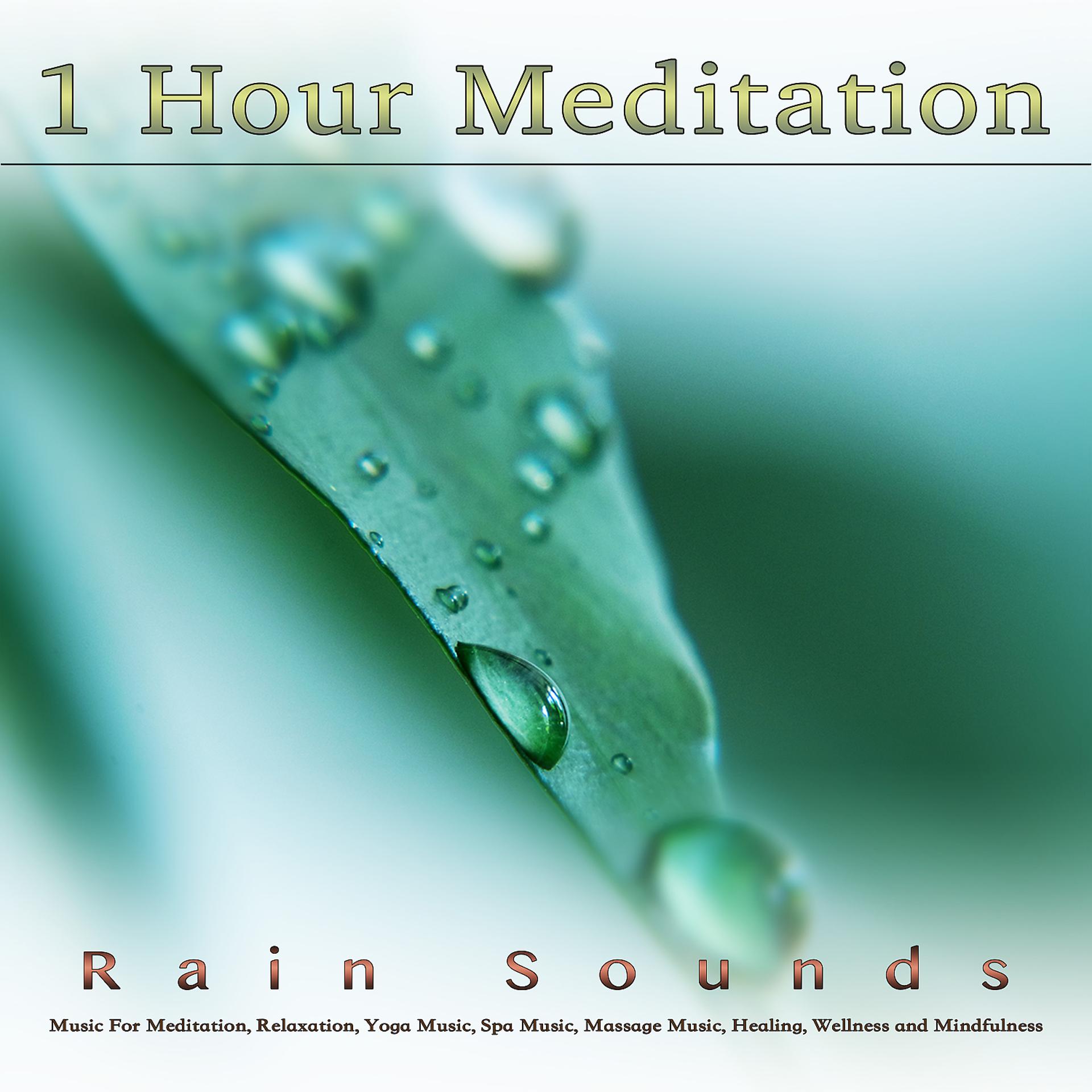 Постер альбома 1 Hour Meditation: Music and Rain Sounds For Meditation, Relaxation, Yoga Music, Spa Music, Massage Music, Healing, Wellness and Mindfulness