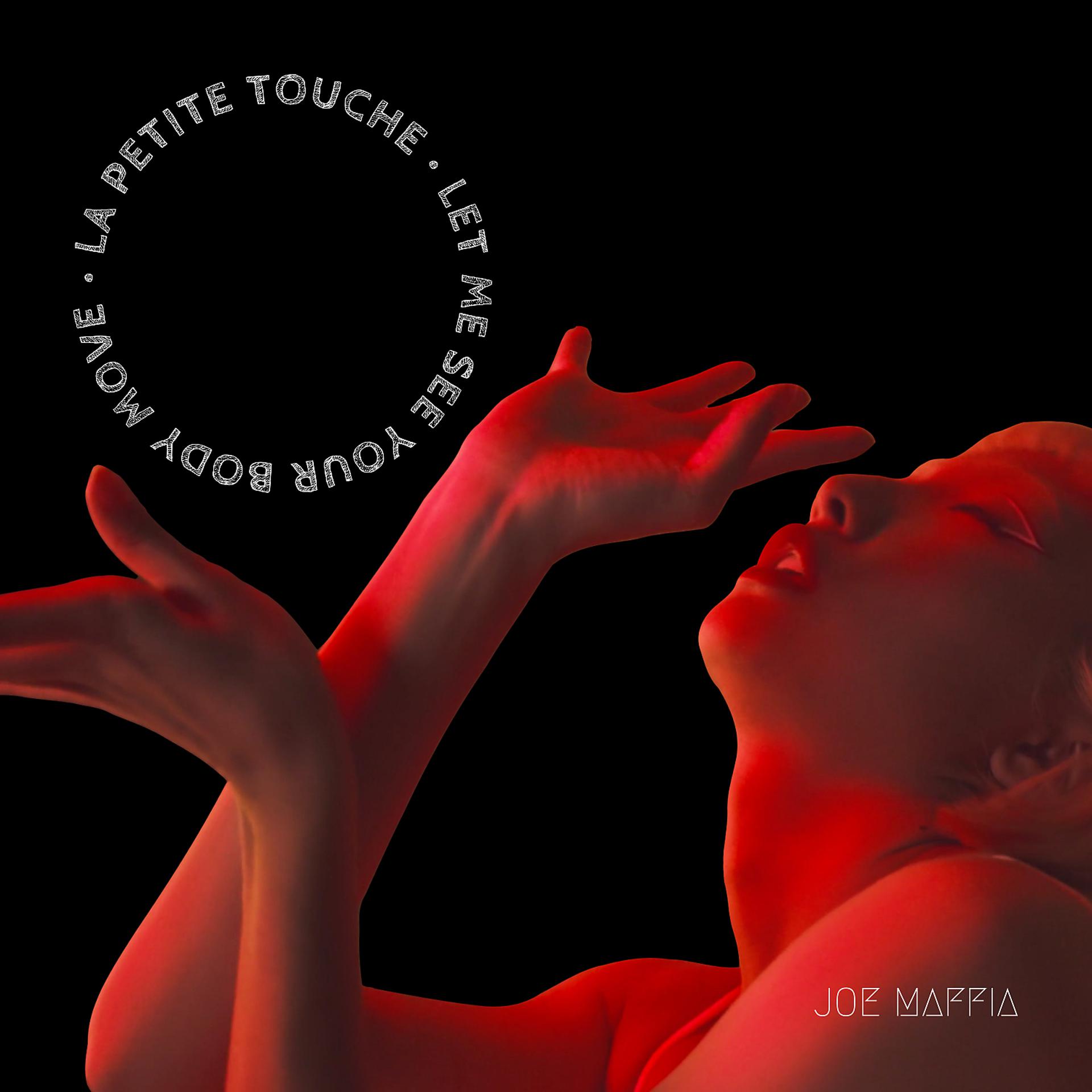 Постер альбома La Petite Touche (Let Me See Your Body Move)