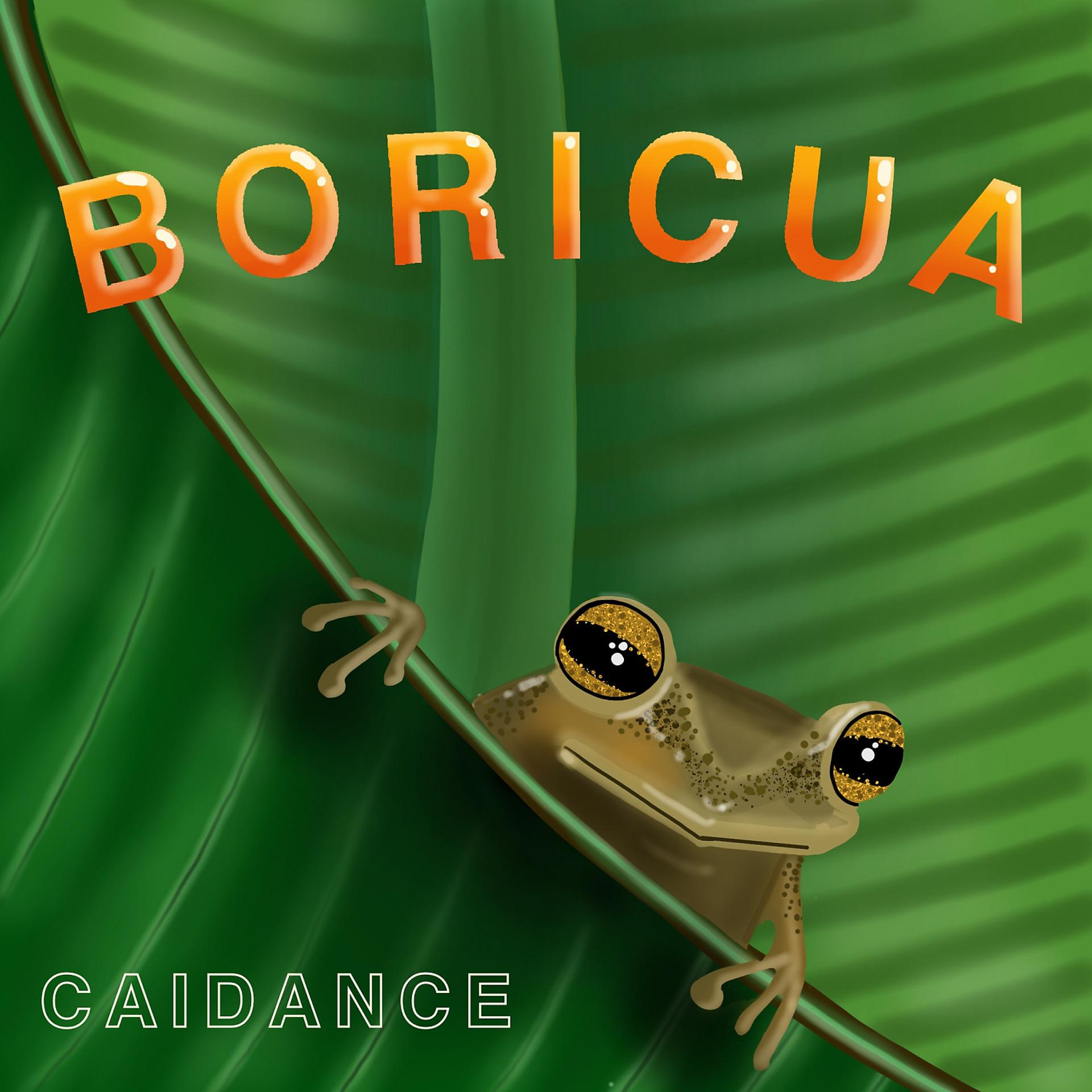 Постер альбома Boricua