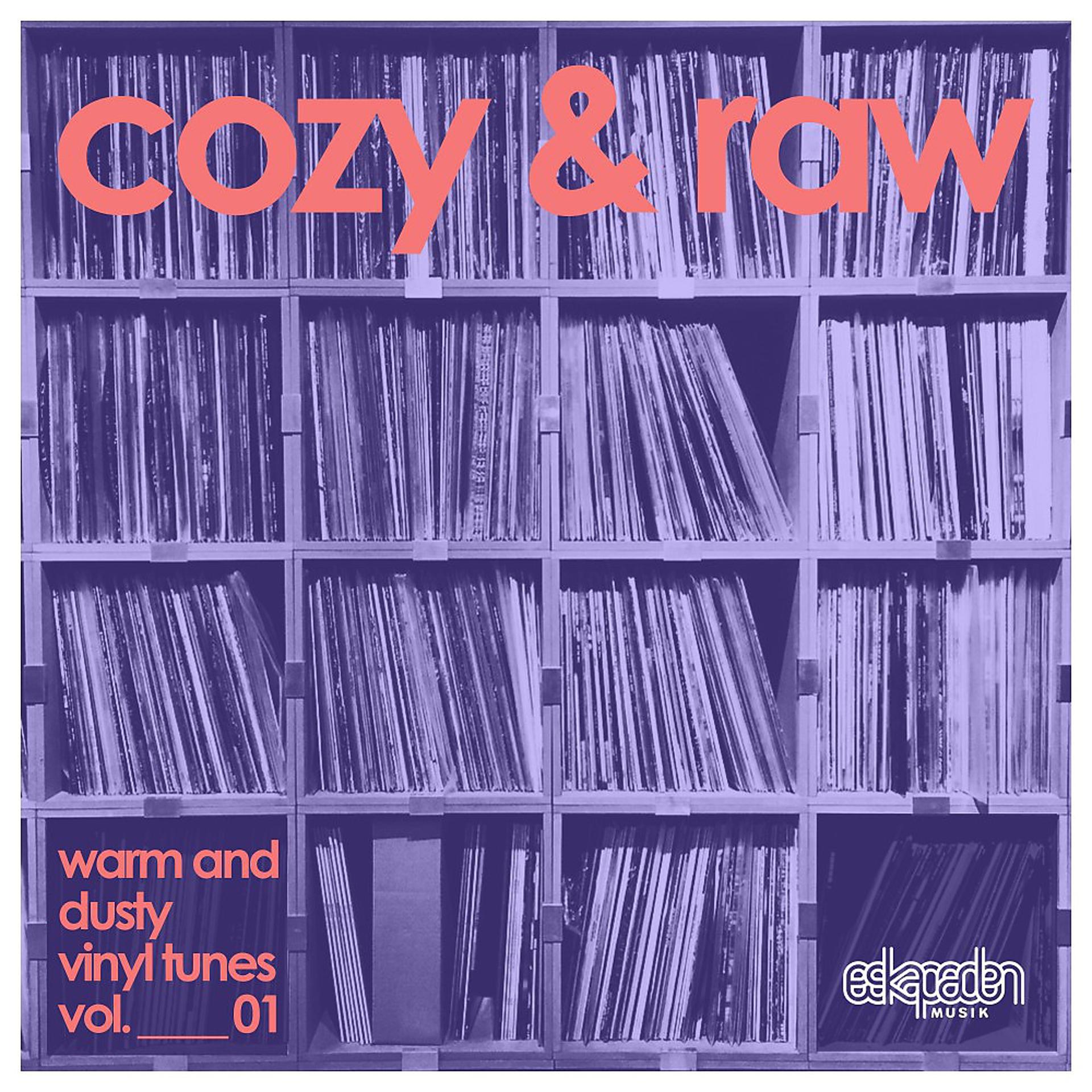 Постер альбома Cozy & Raw, Vol. 01