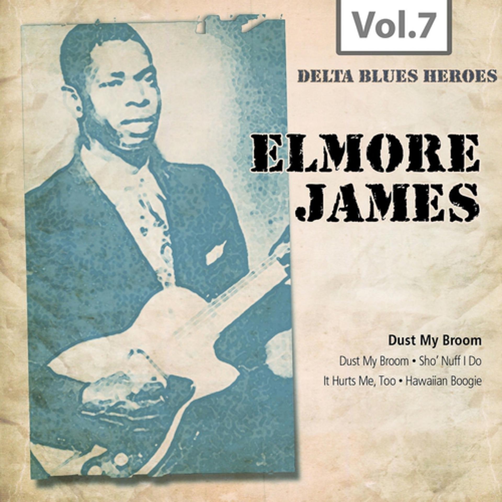 Постер альбома Delta Blues Heroes, Vol. 7