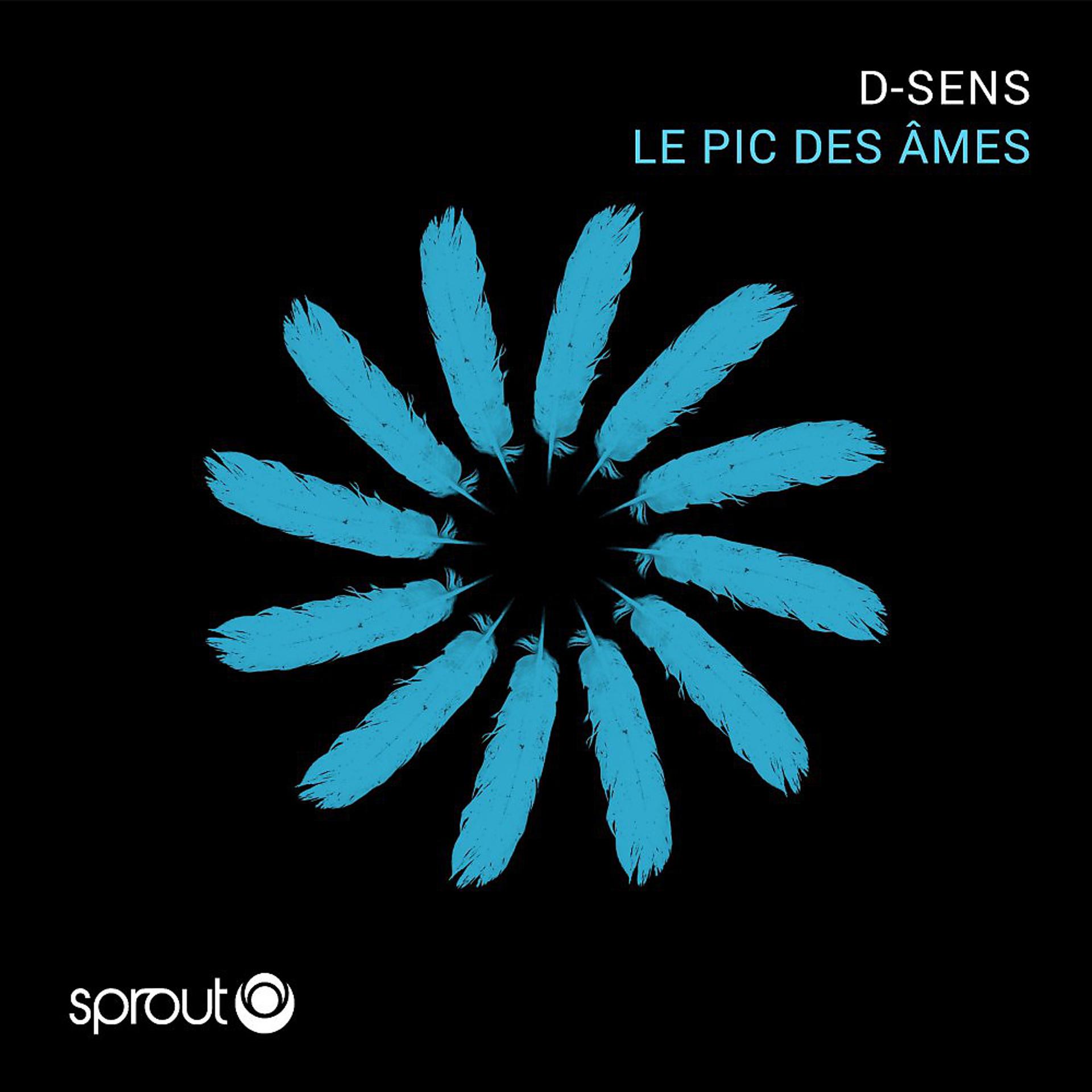 Постер альбома Le Pic Des Âmes