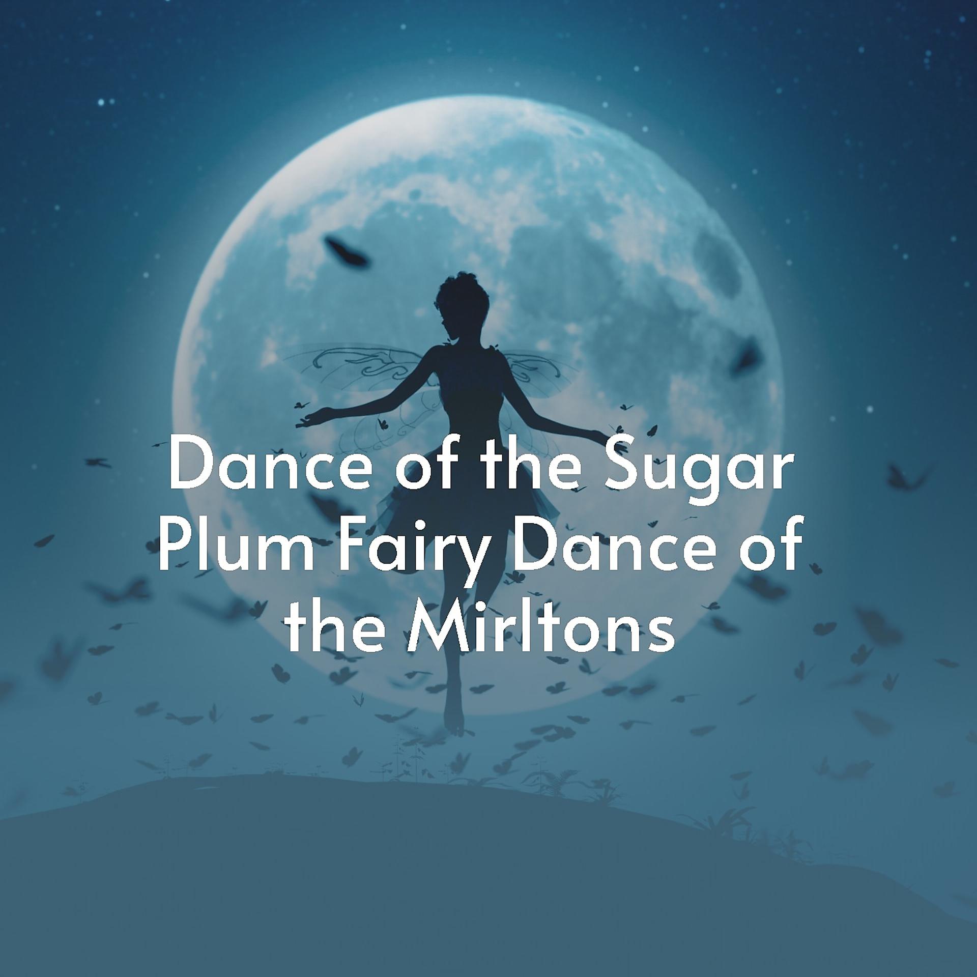 Постер альбома Dance of the Sugar Plum Fairydance of the Mirltons