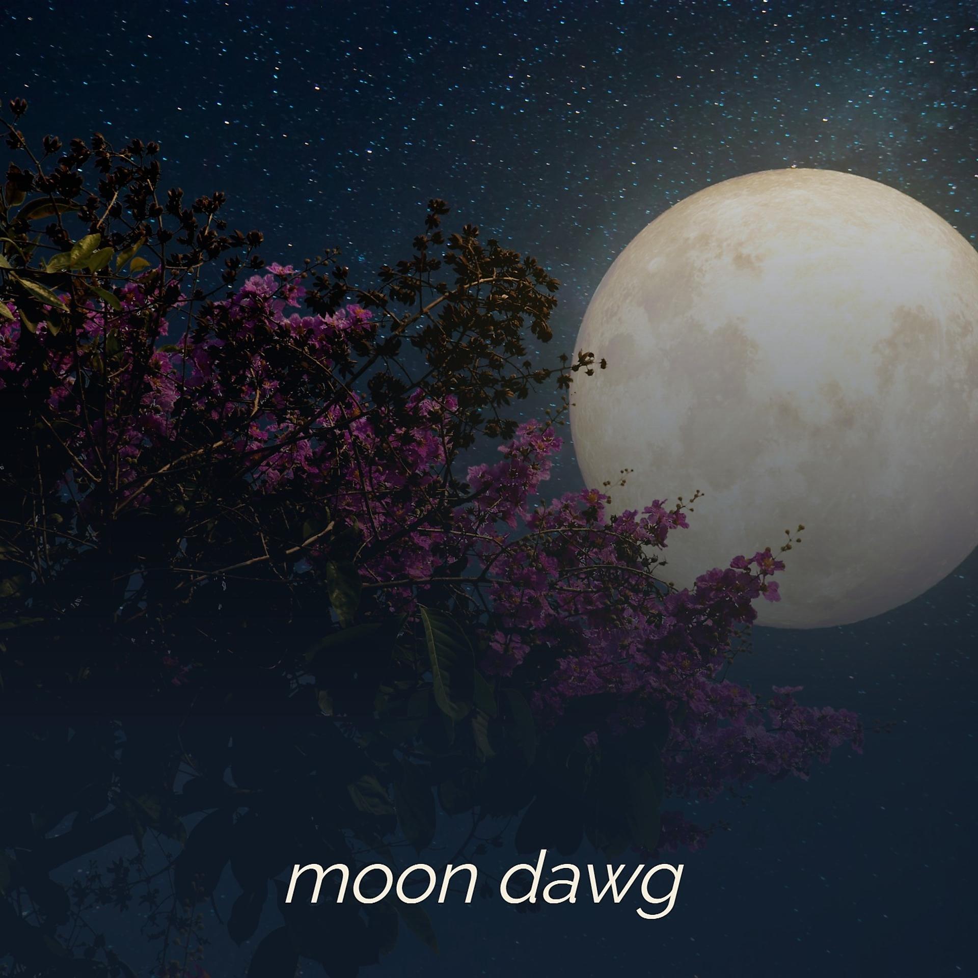 Постер альбома Moon Dawg
