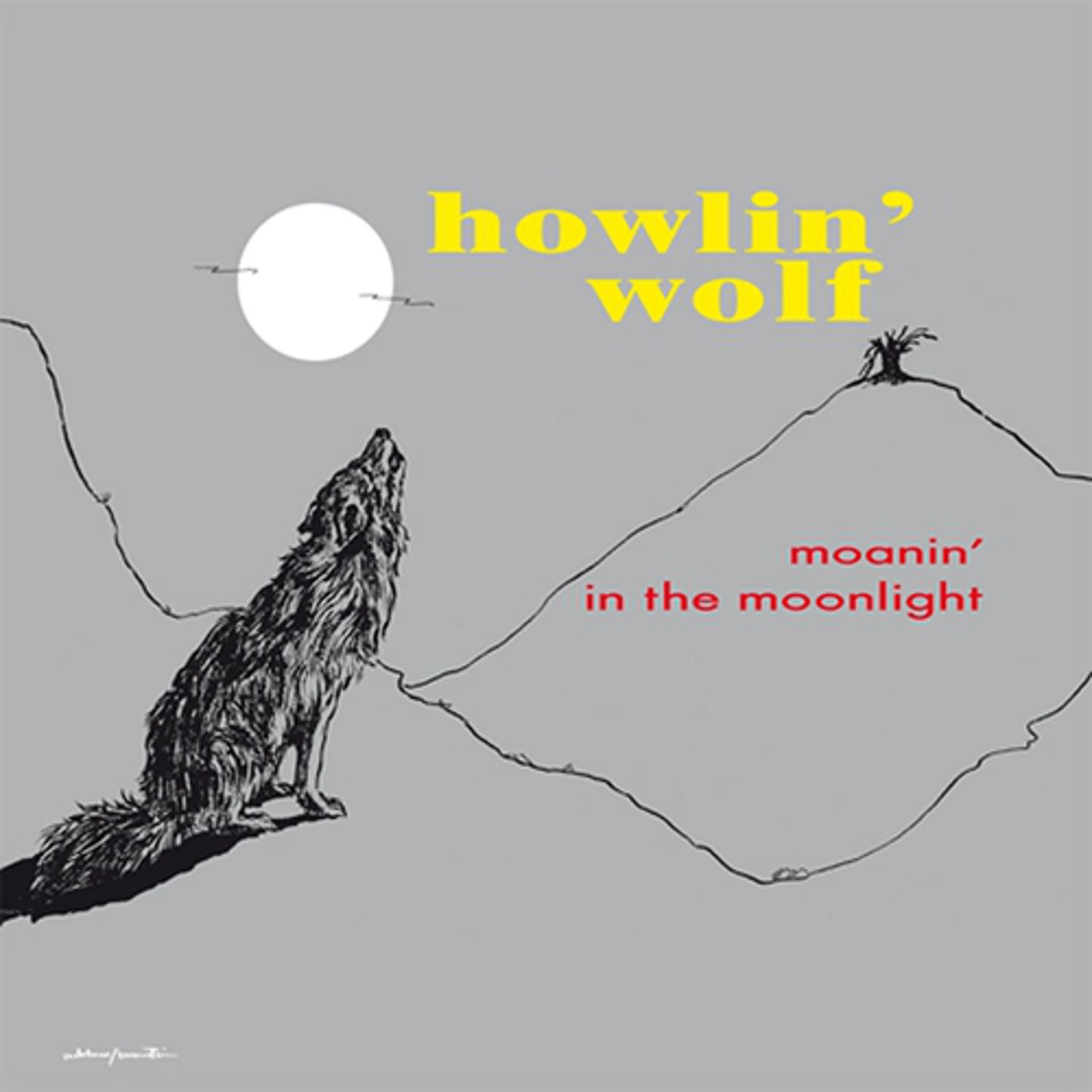 Постер альбома Moaning in the Moonlight