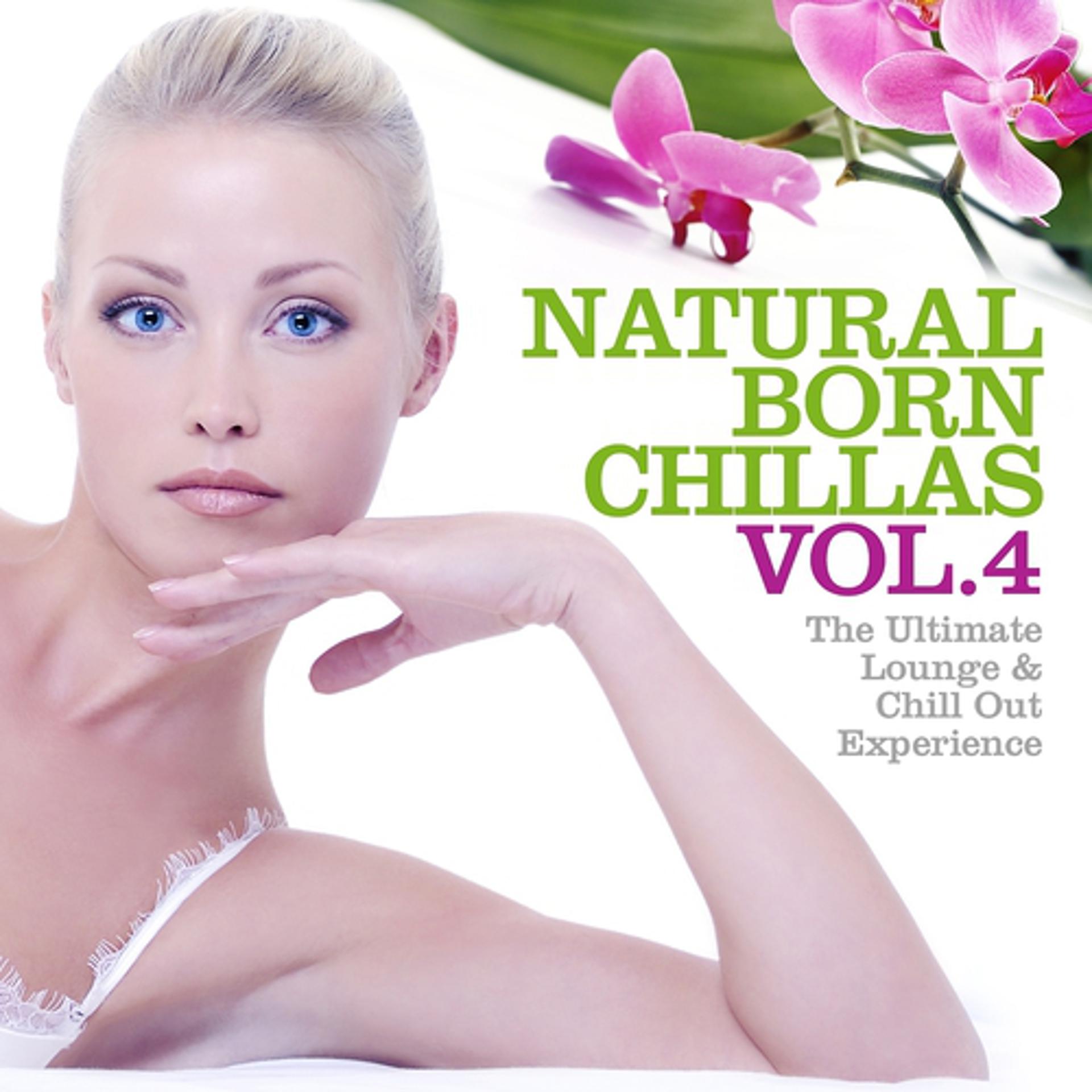 Постер альбома Natural Born Chillas, Vol. 4