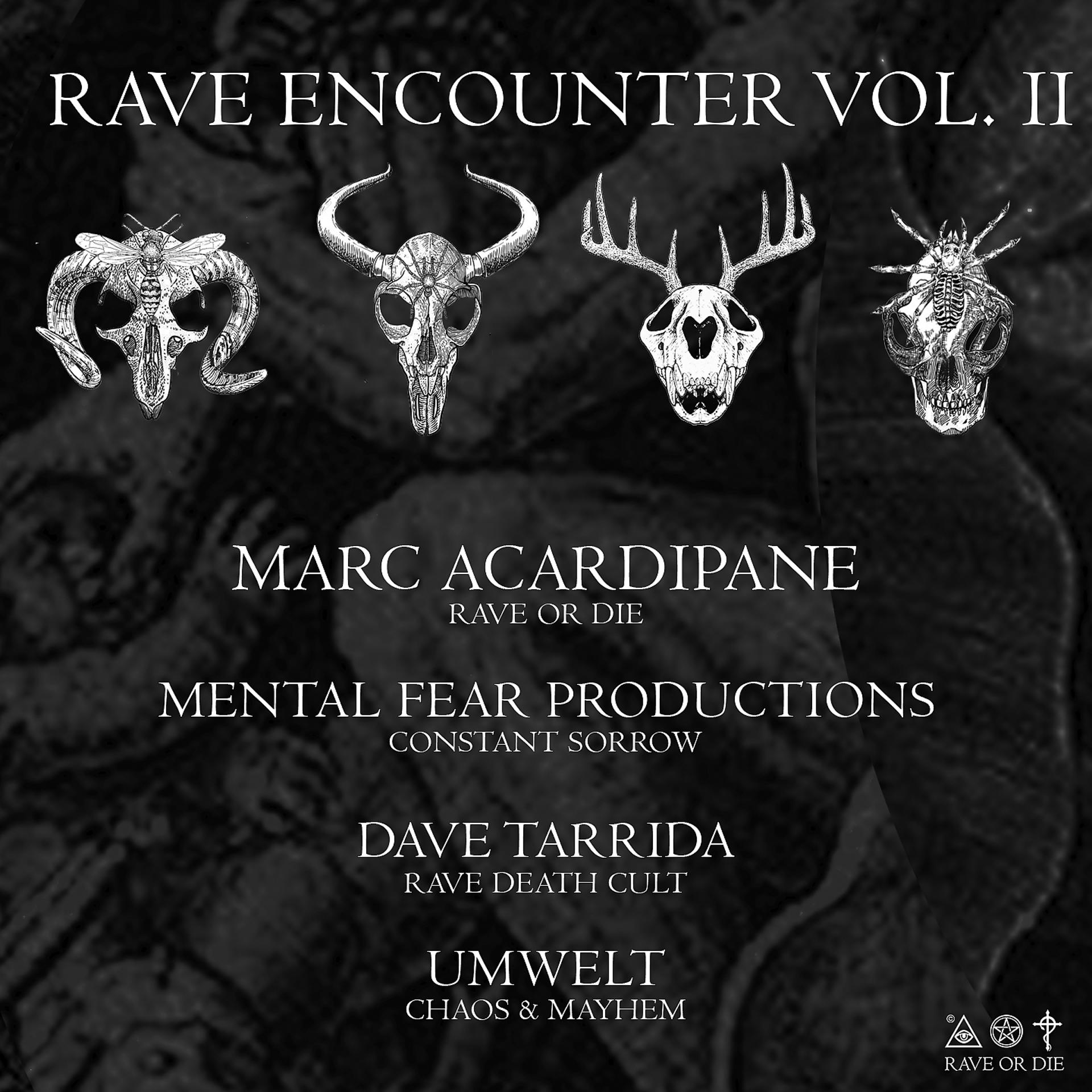 Постер альбома Rave Encounter, Vol. 2