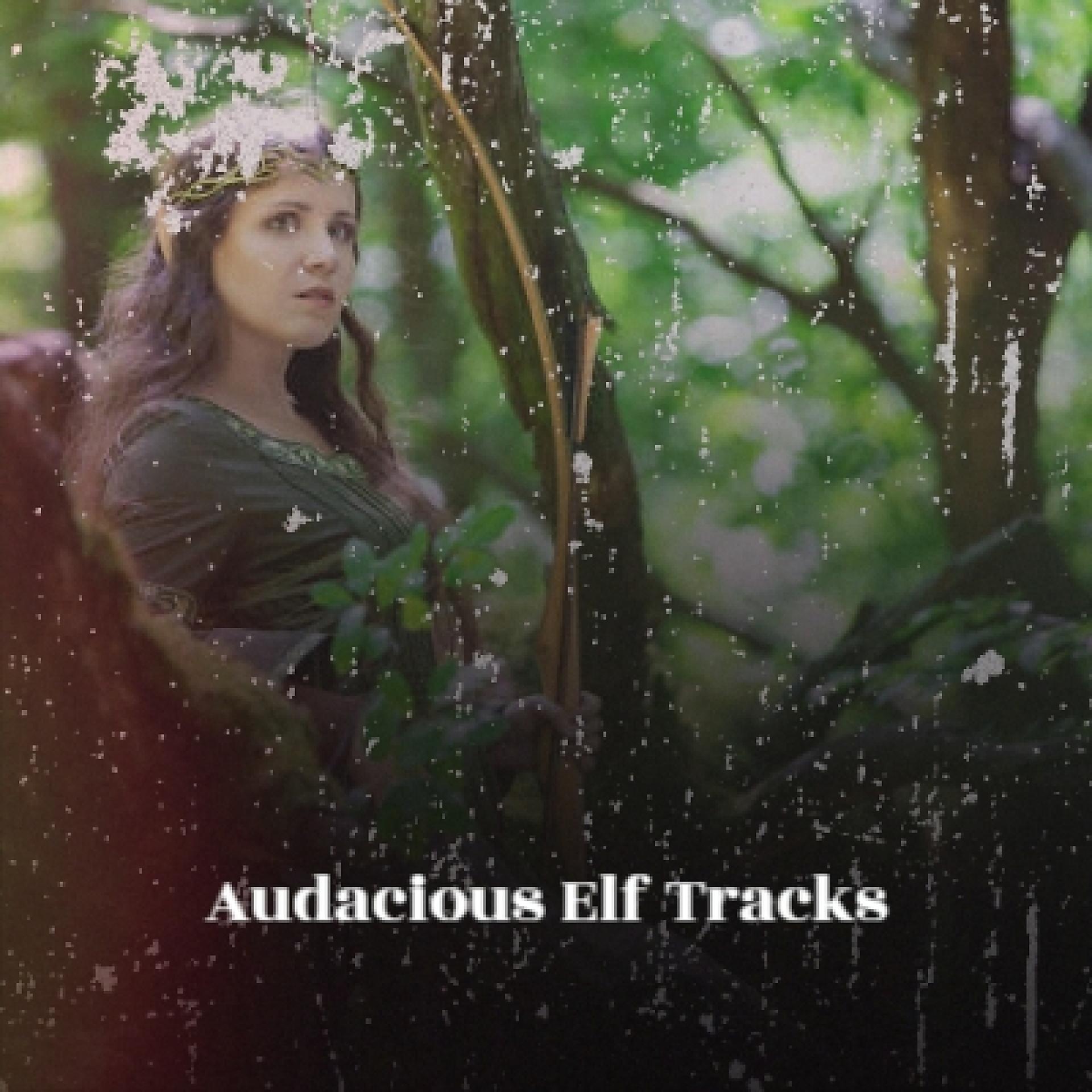 Постер альбома Audacious Elf Tracks