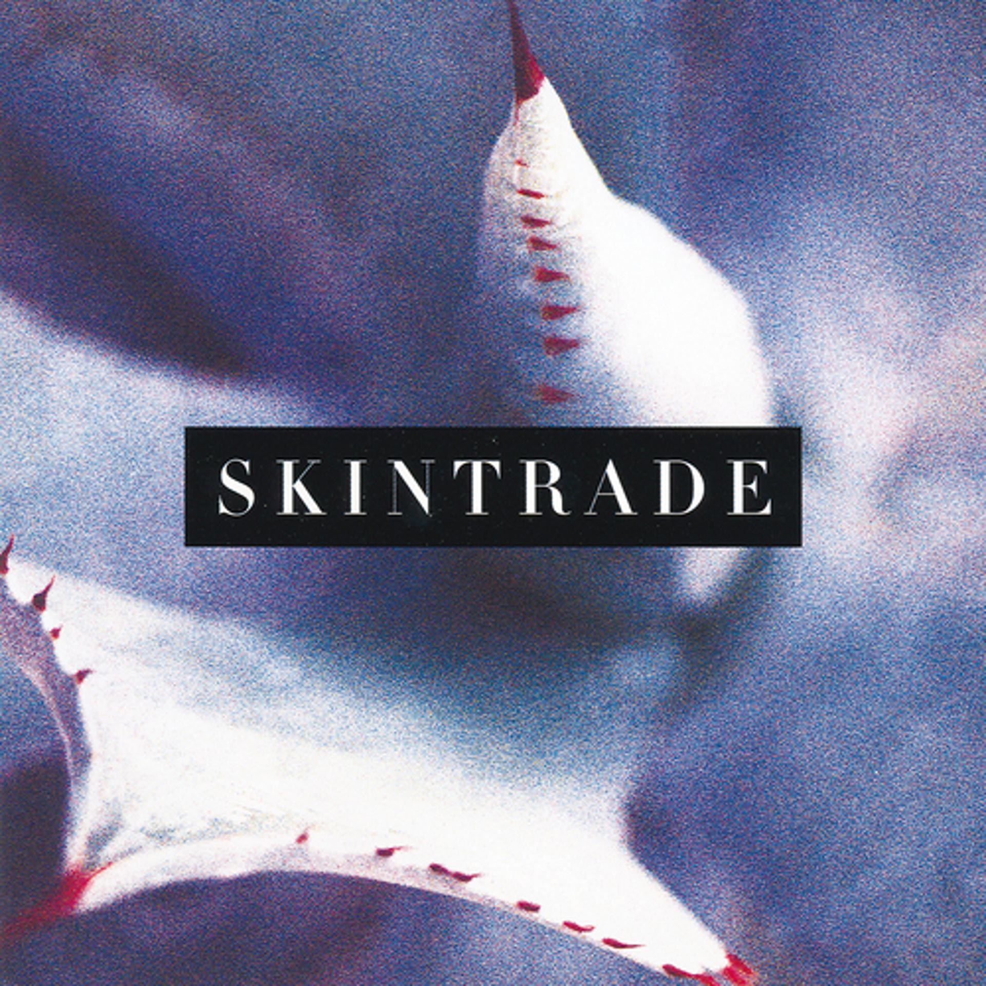 Постер альбома Skintrade