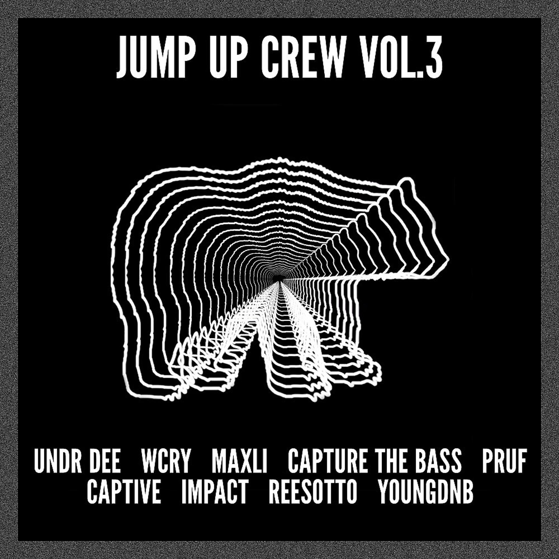 Постер альбома Jump up Crew Vol. 3