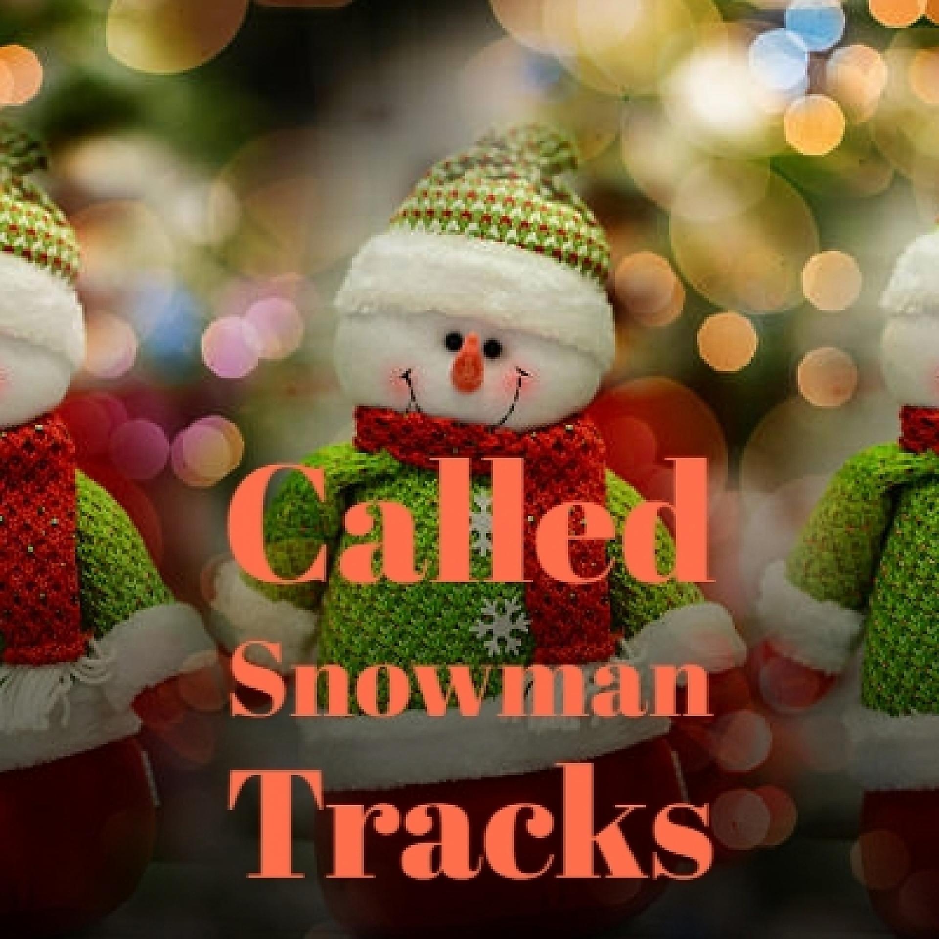 Постер альбома Called Snowman Tracks