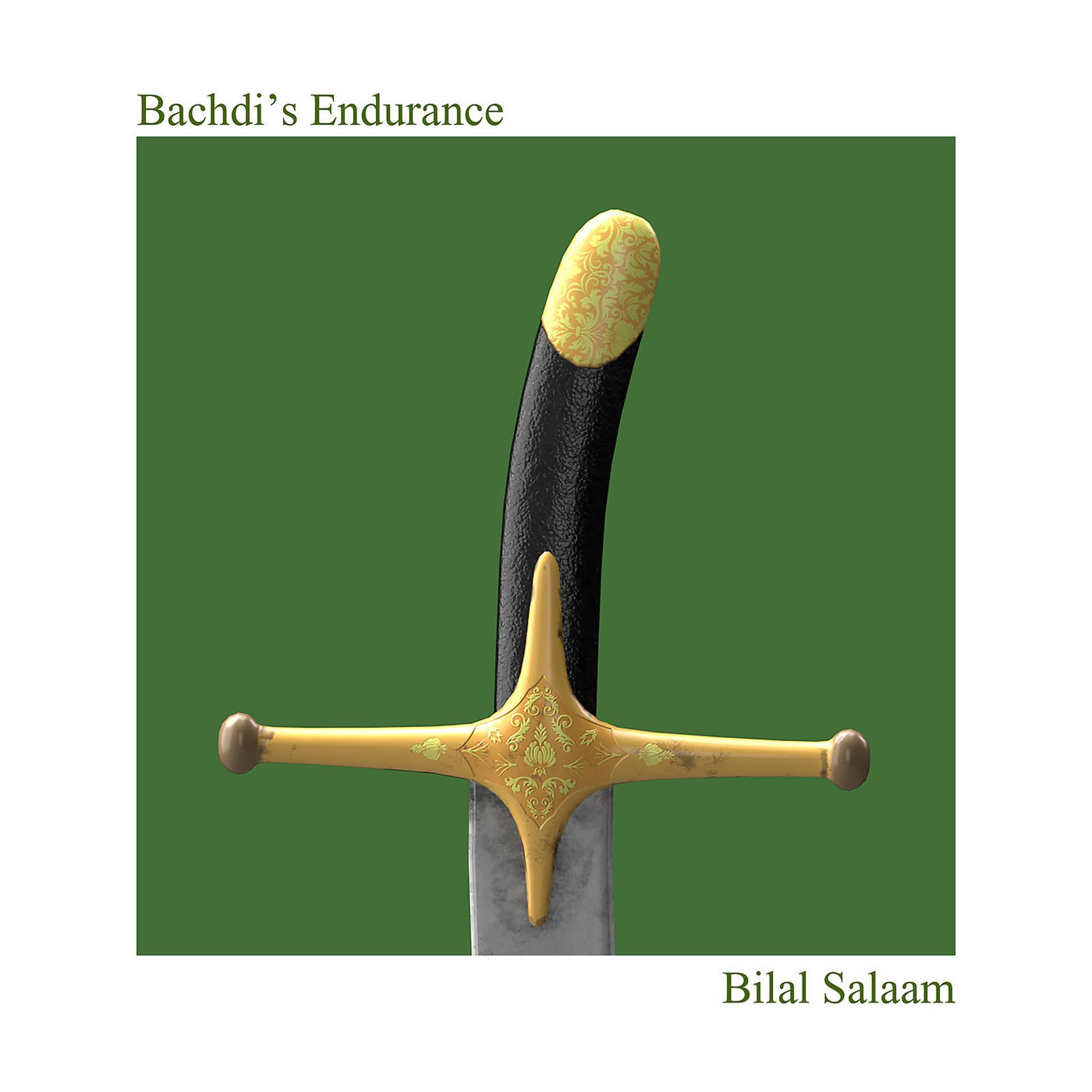 Постер альбома Bachdi's Endurance