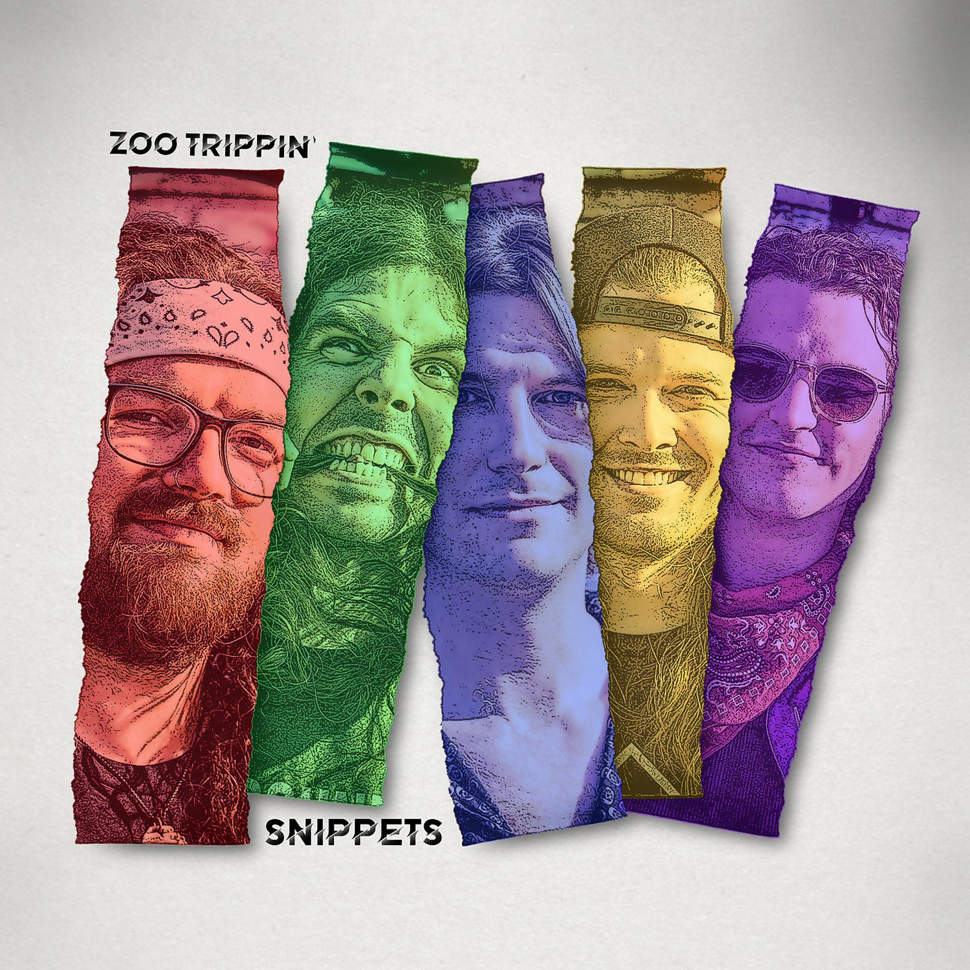 Постер альбома Snippets