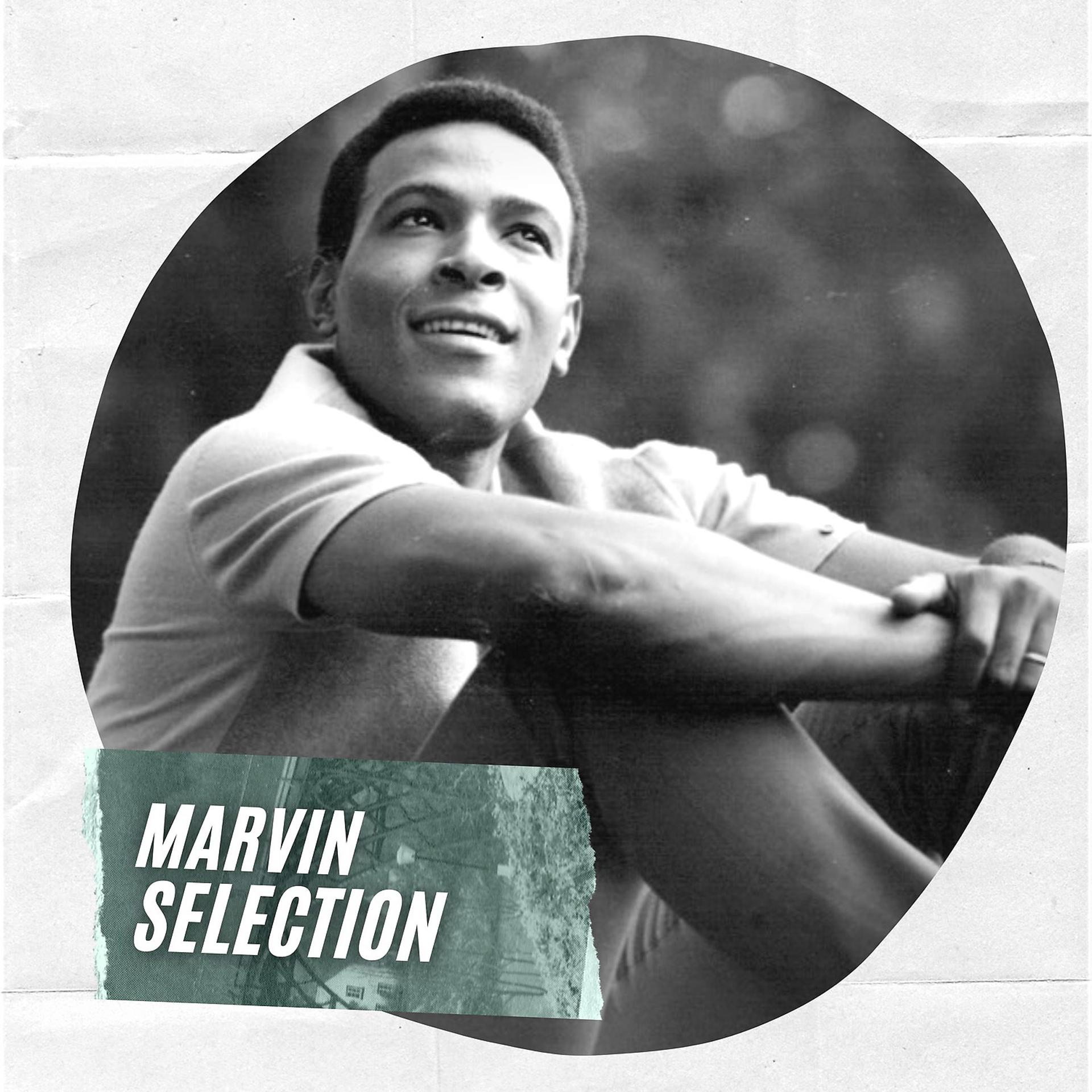 Постер альбома Marvin Selection