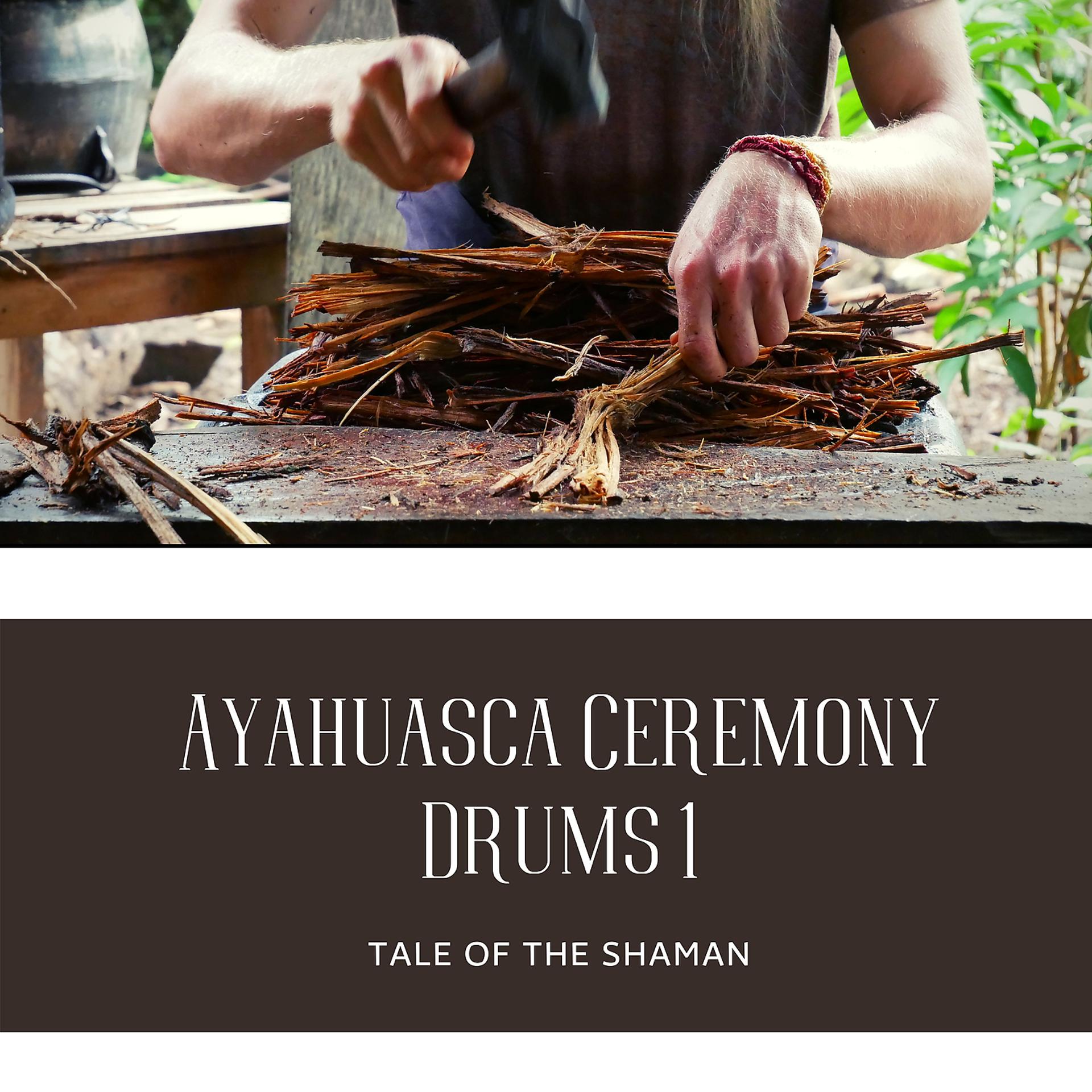 Постер альбома Ayahuasca Ceremony Drums 1