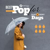 Постер альбома Best Pop for Rainy & Snowy Days