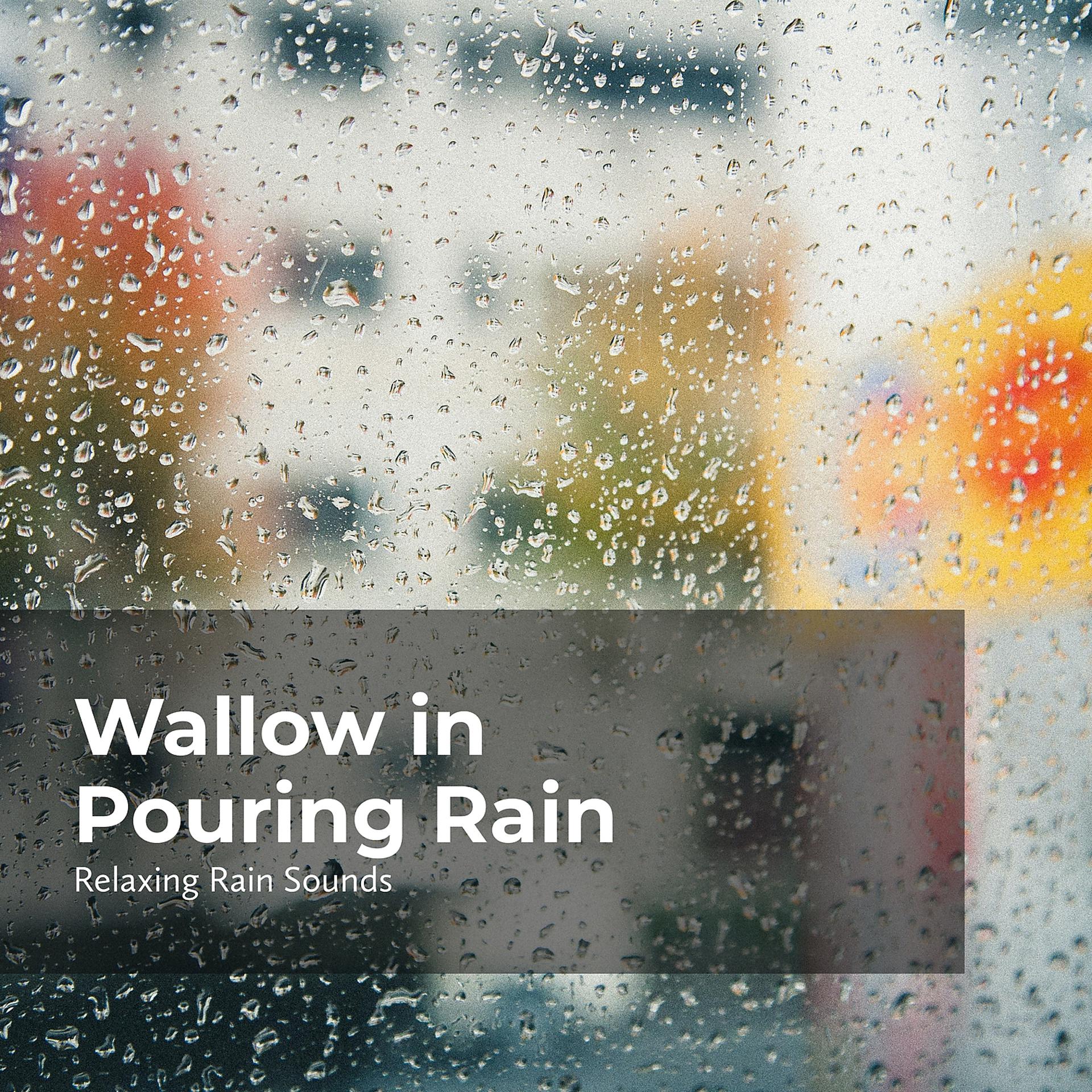 Постер альбома Wallow in Pouring Rain