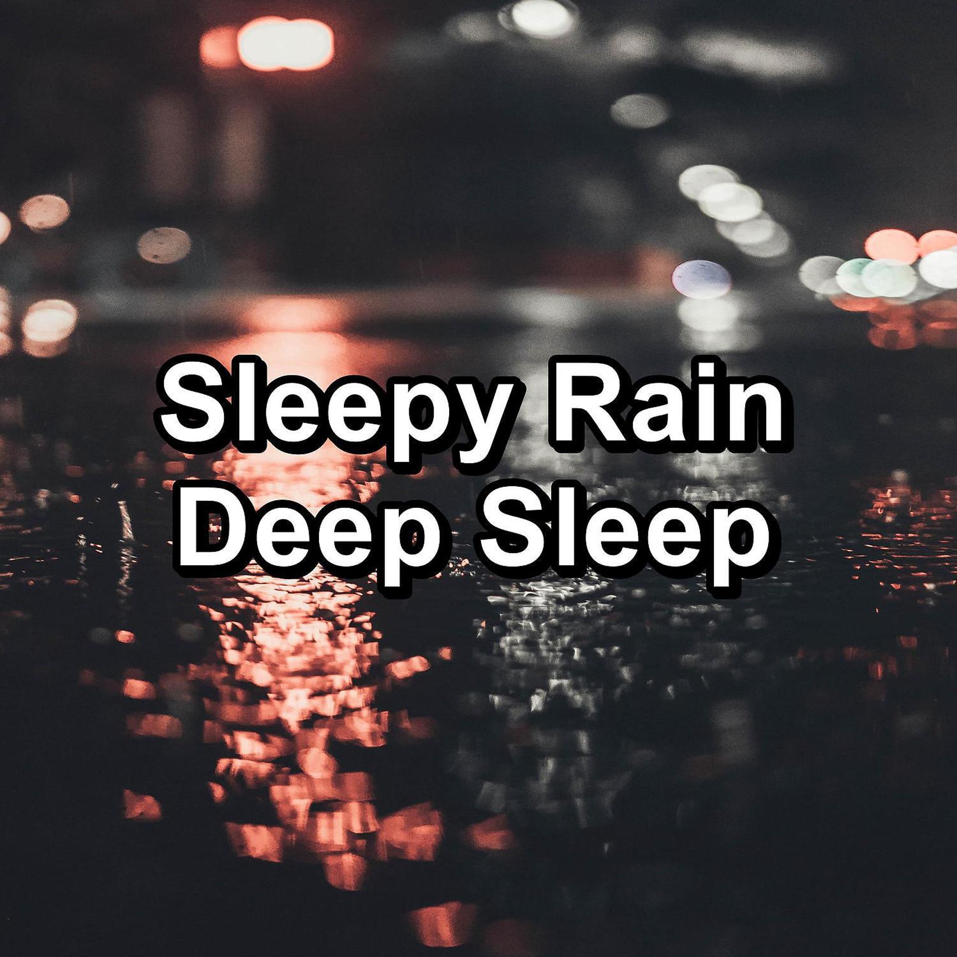 Постер альбома Sleepy Rain Deep Sleep