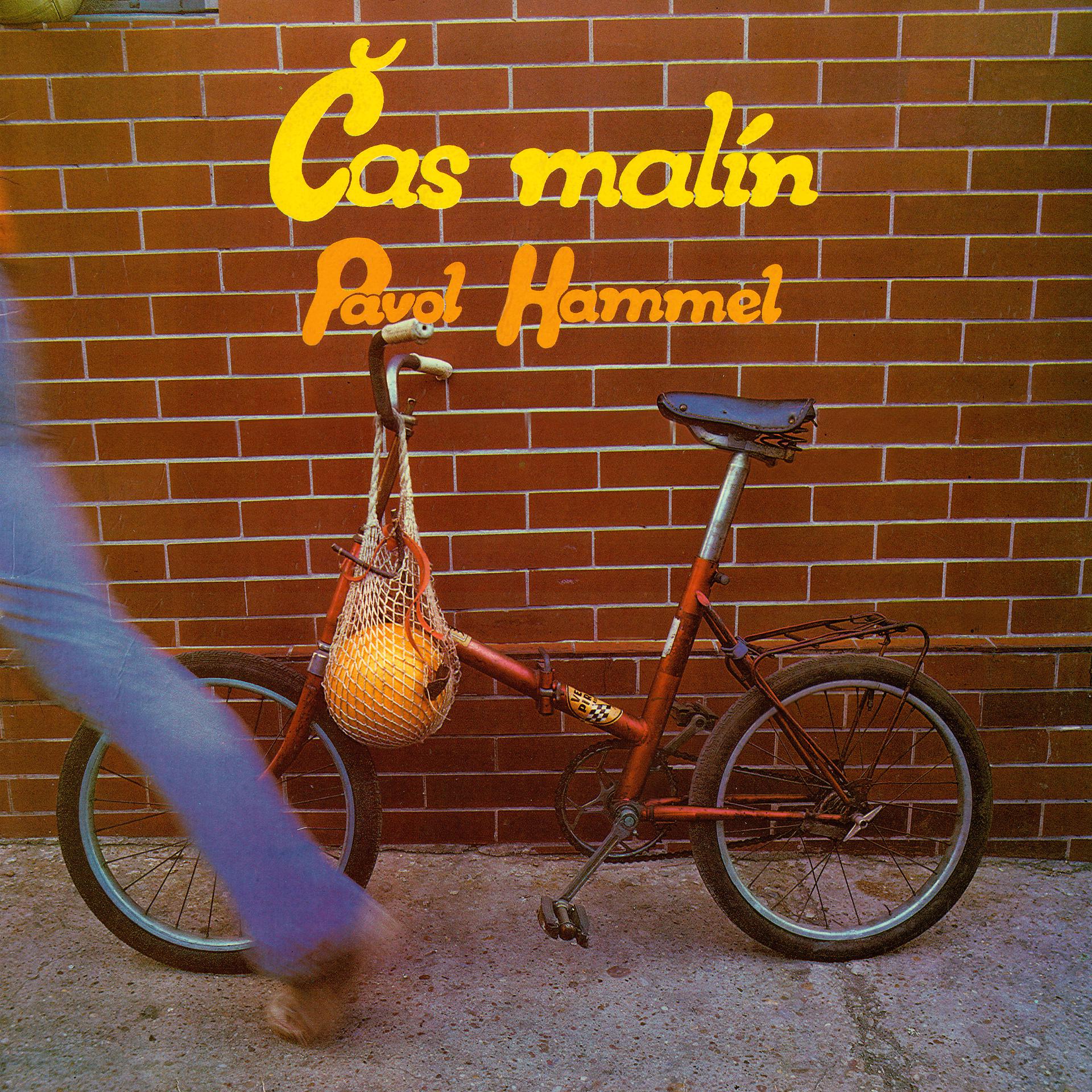 Постер альбома Čas malín
