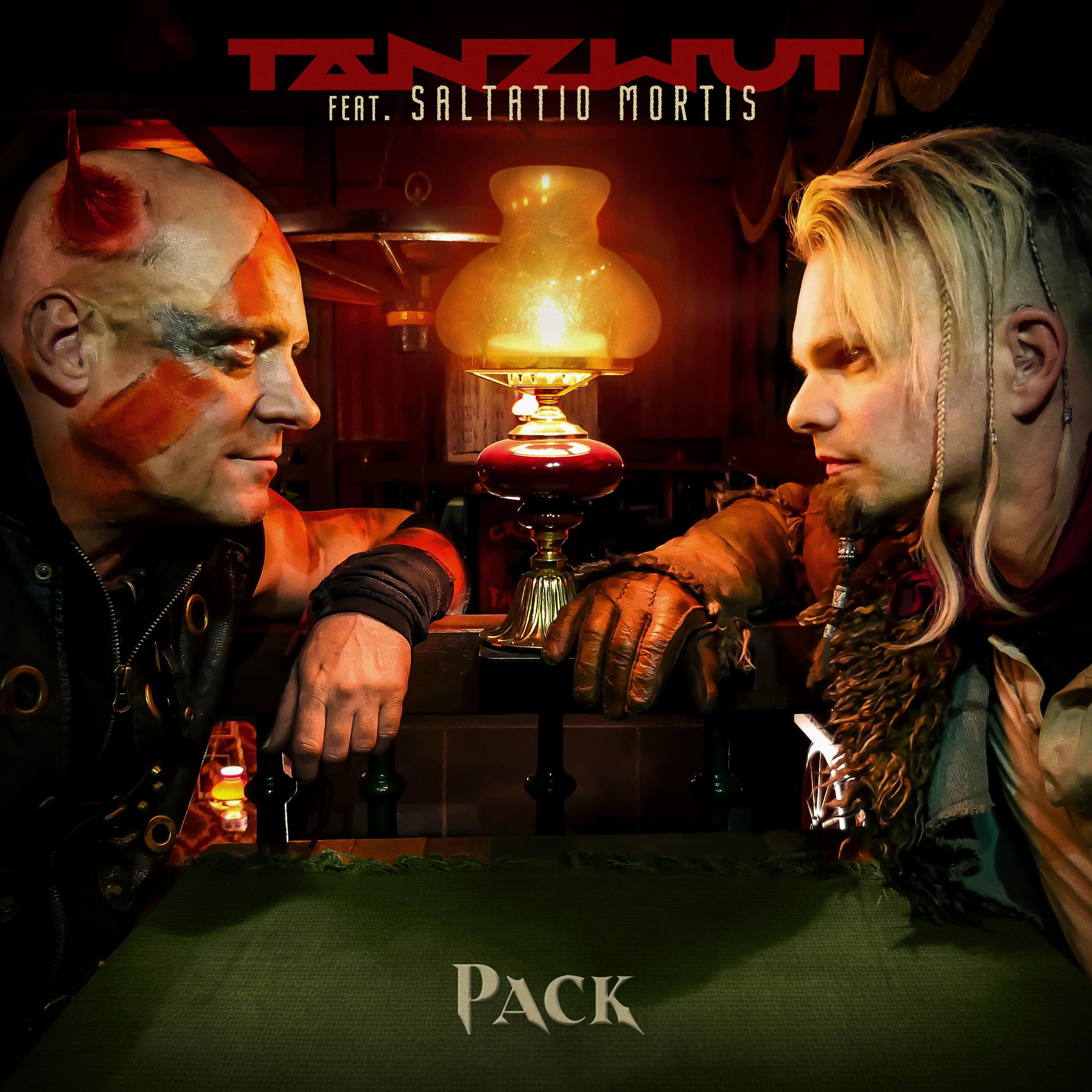 Постер альбома Pack (feat. Saltatio Mortis)