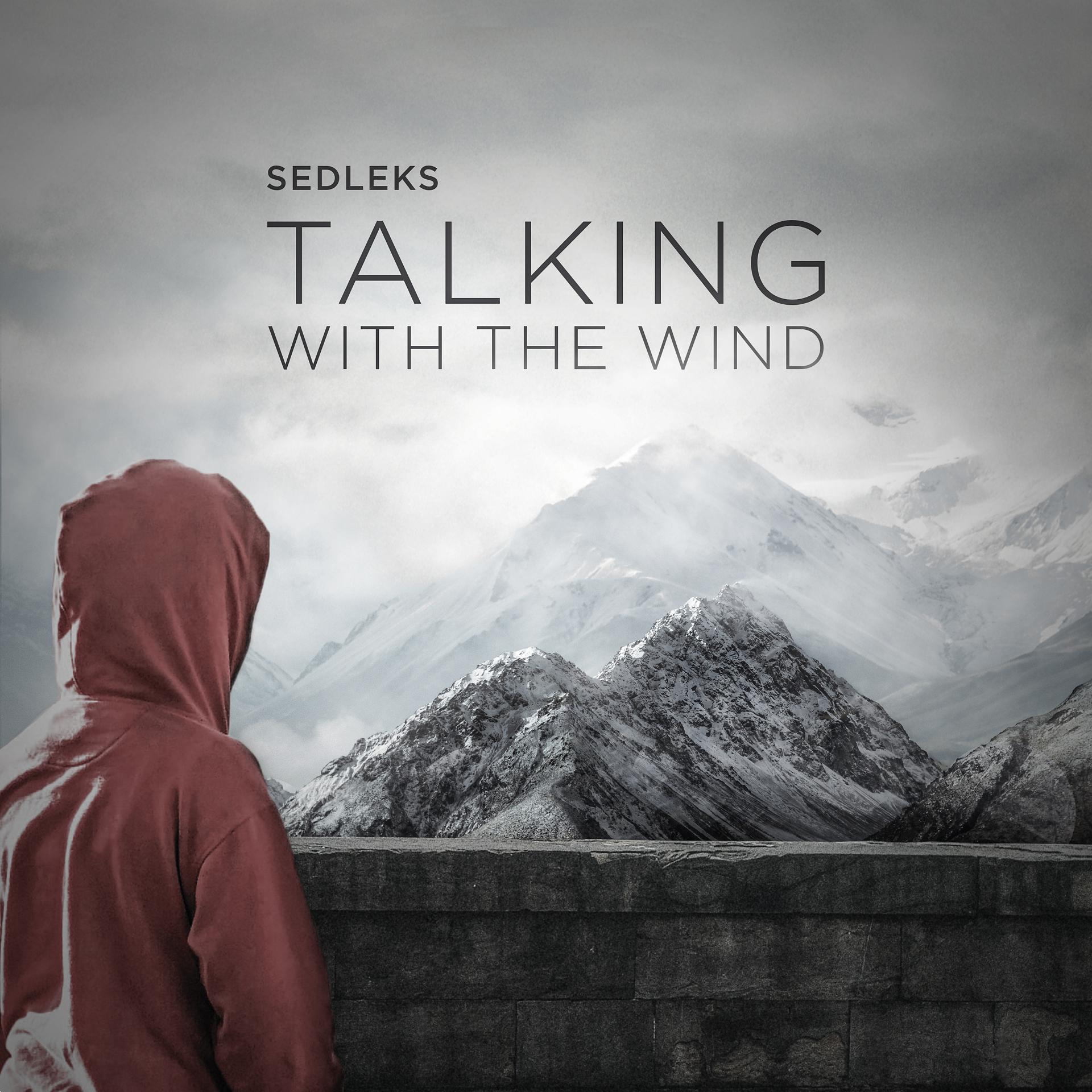 Постер альбома Talking with the Wind