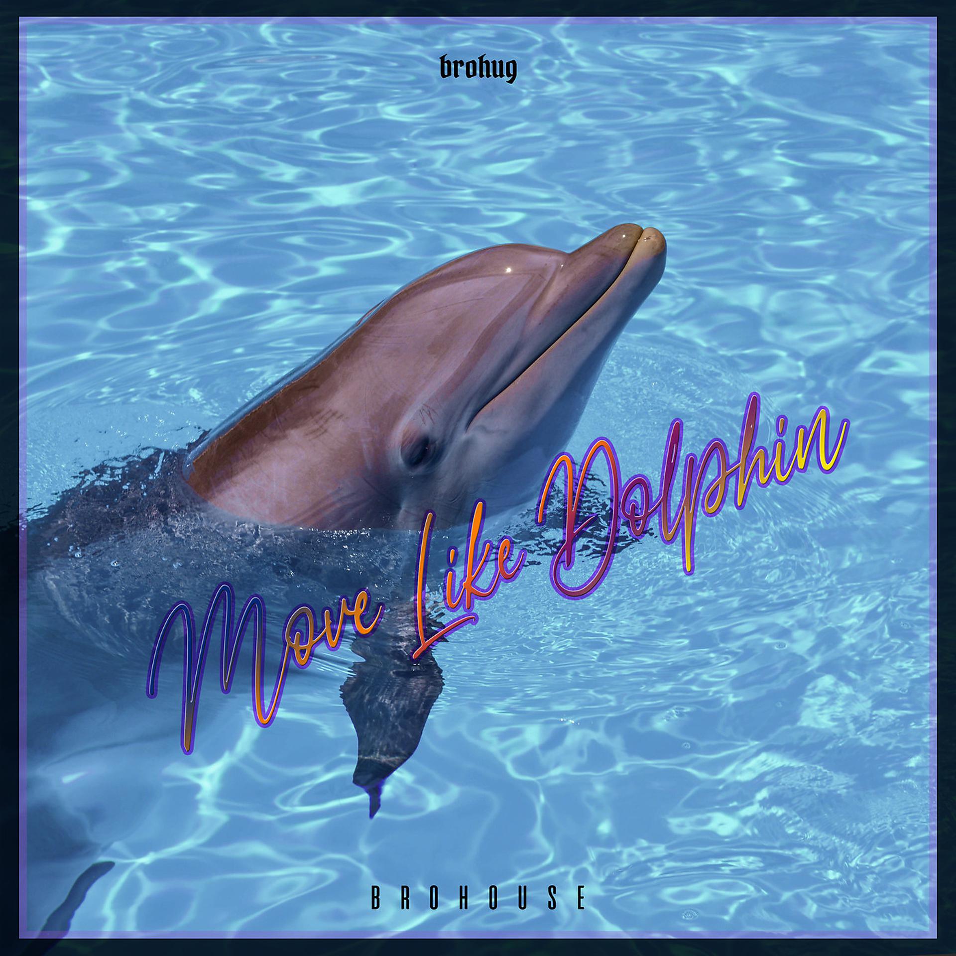 Постер альбома Move Like Dolphin