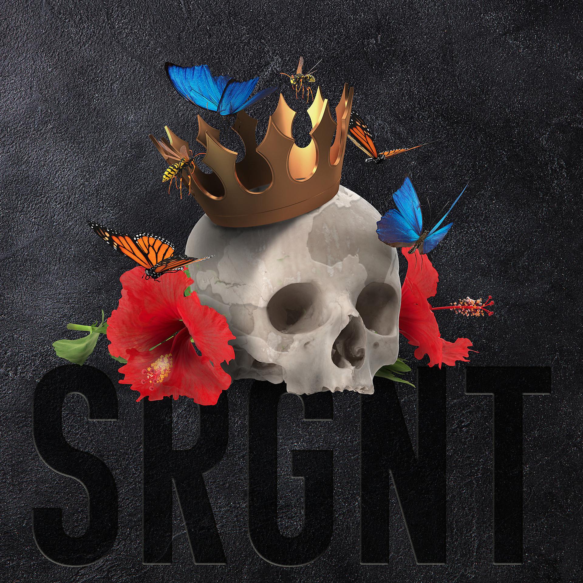 Постер альбома Srgnt