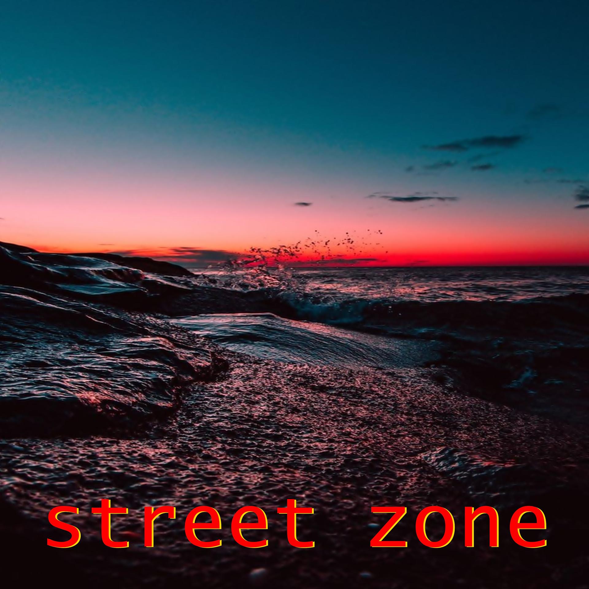 Постер альбома Street Zone