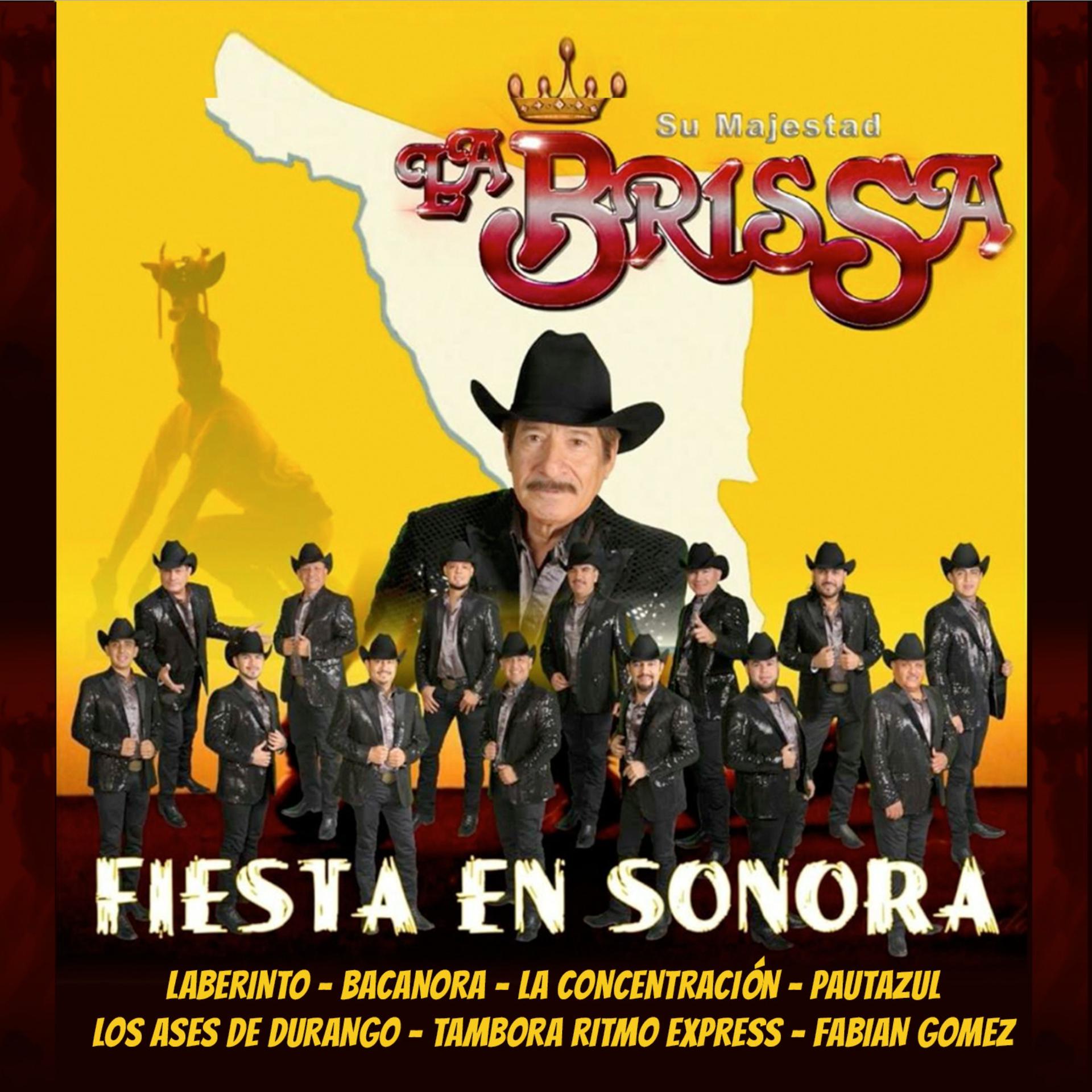 Постер альбома Fiesta en Sonora