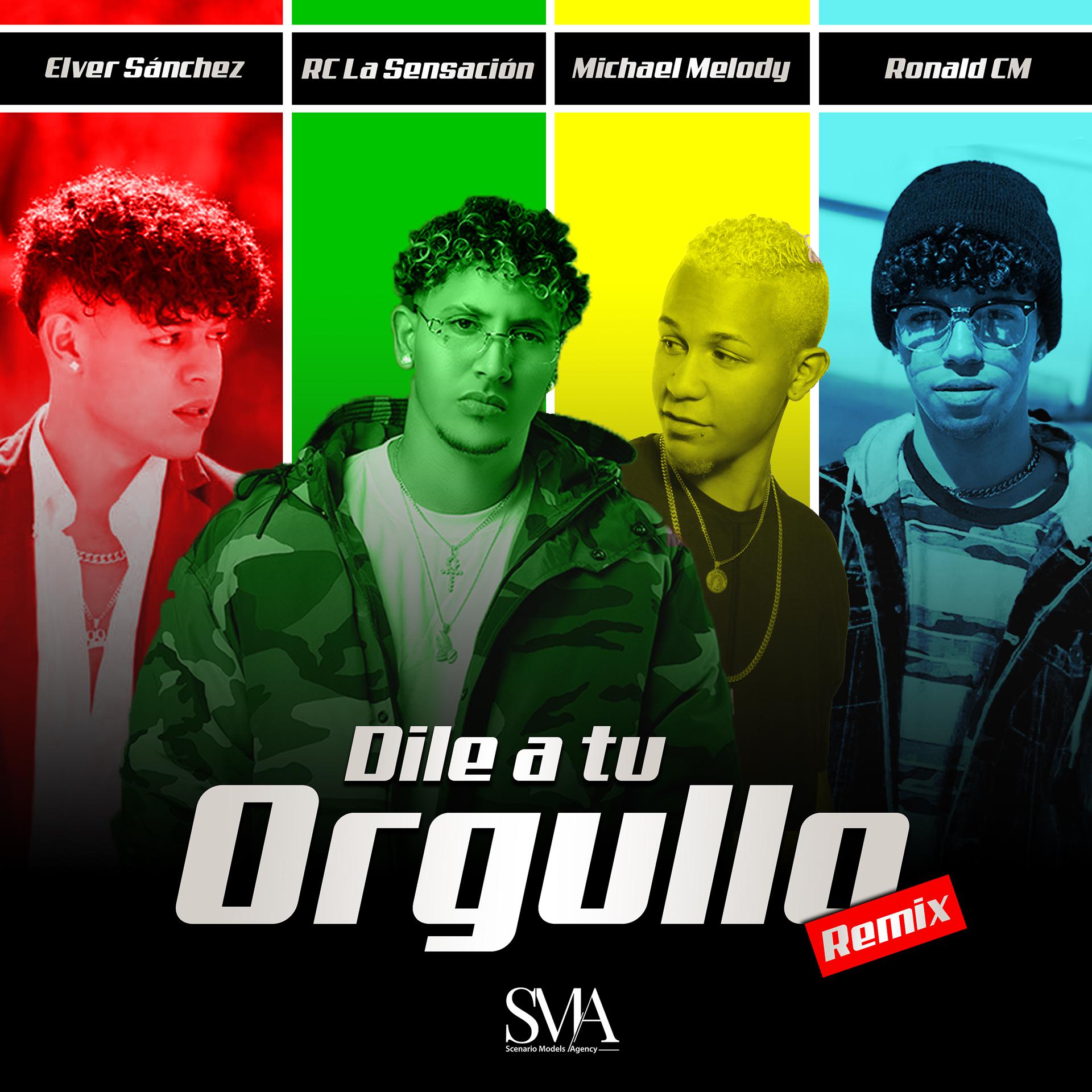 Постер альбома Dile a Tu Orgullo (Remix)