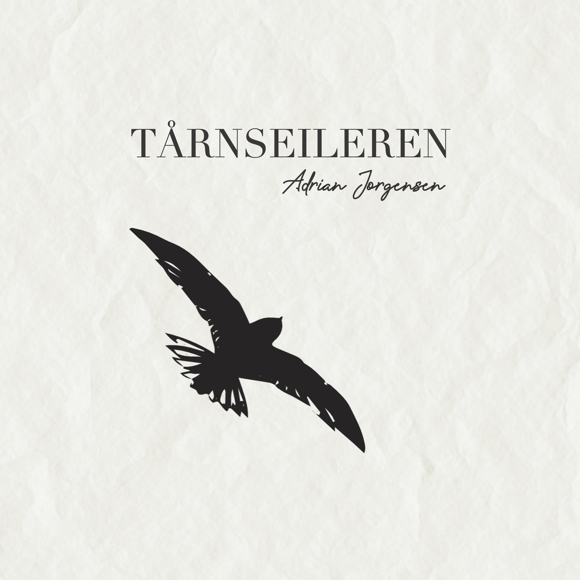 Постер альбома Tårnseileren