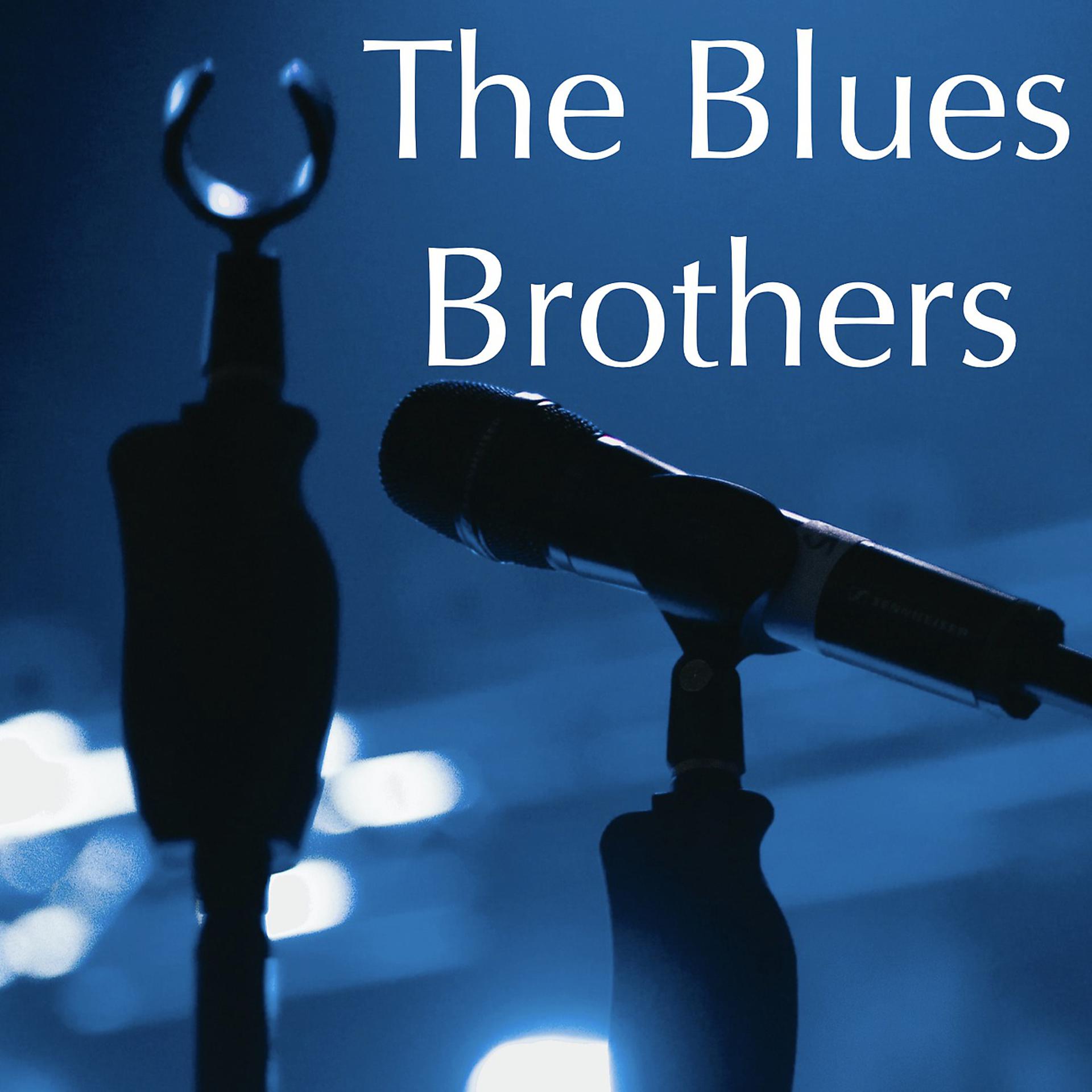 Постер альбома The Blues Brothers - KSAN FM Broadcast Winterland San Francisco 31st December 1978.