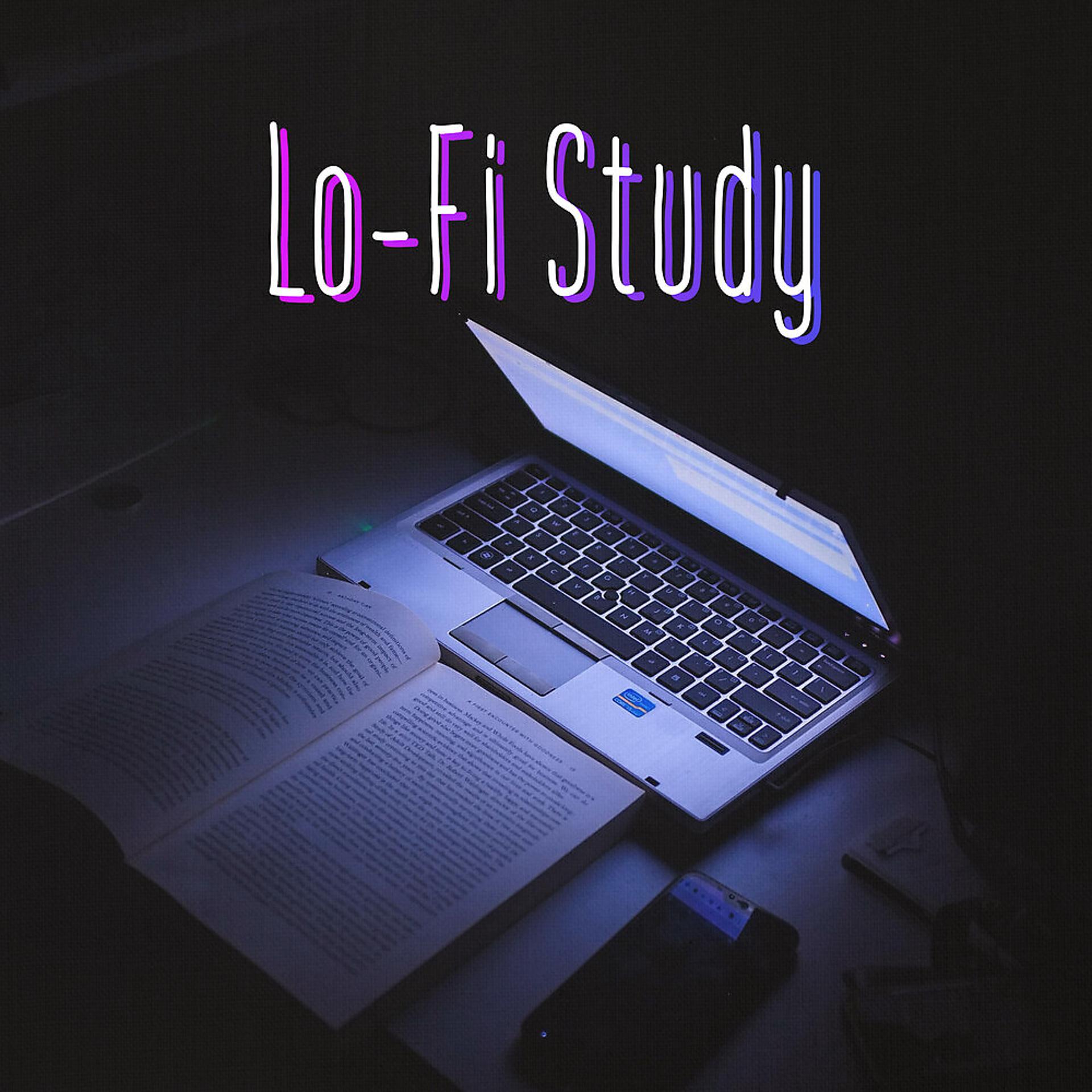 Постер альбома Lo-Fi Study
