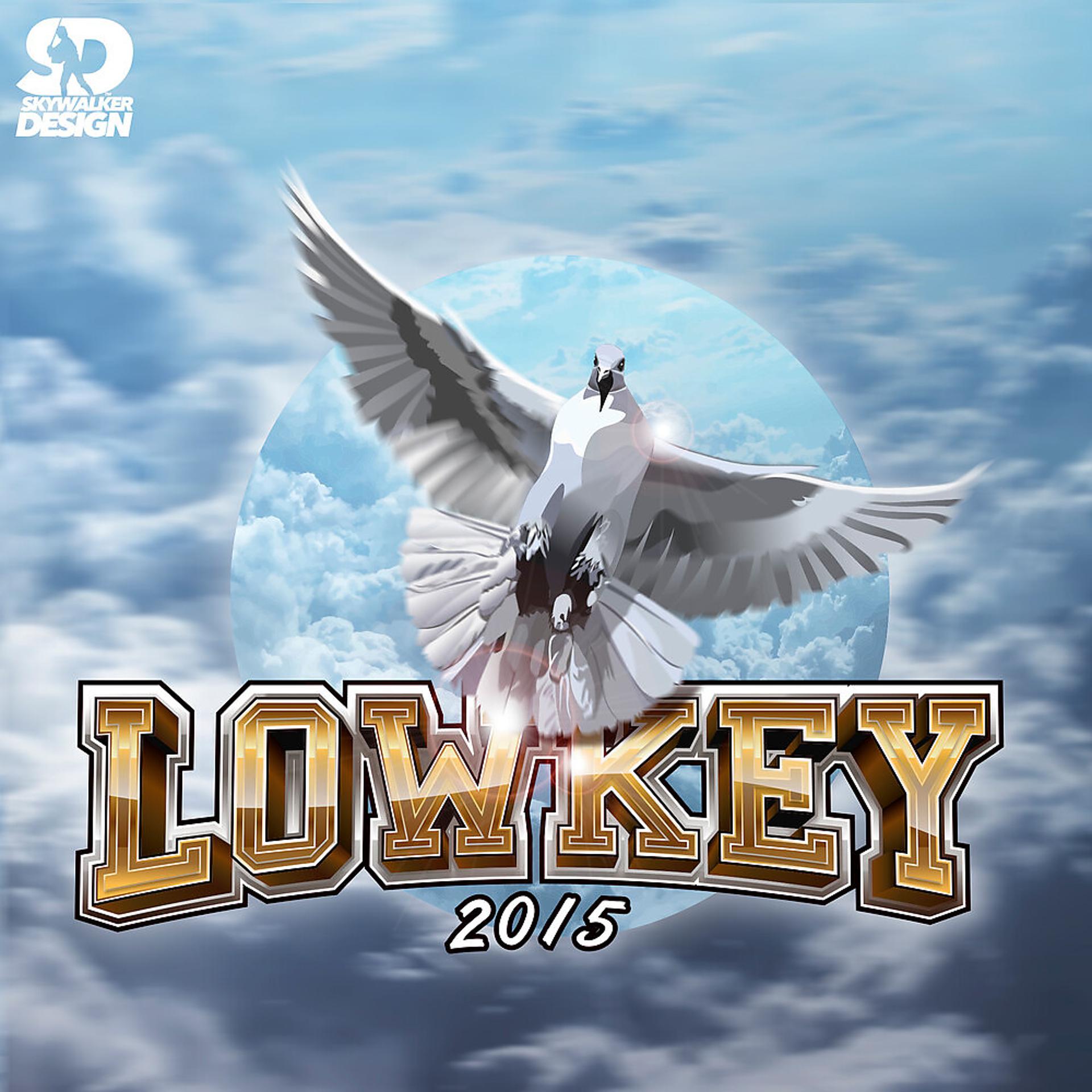 Постер альбома Lowkey 2015