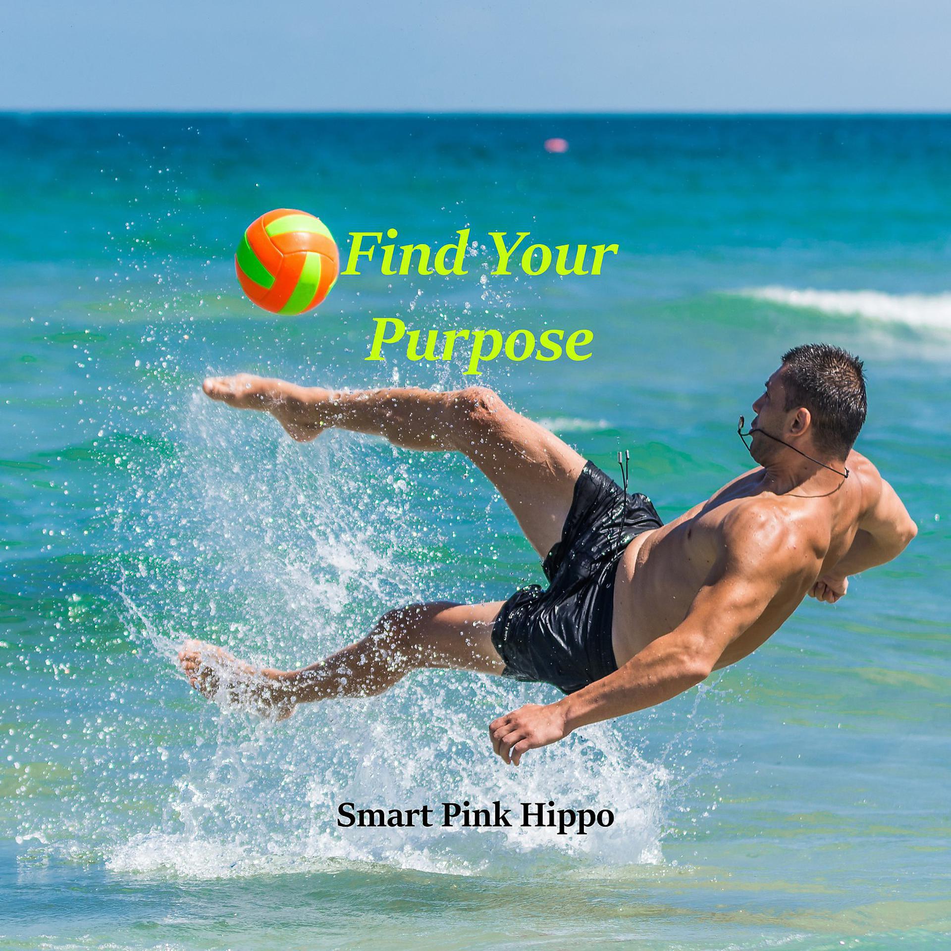 Постер альбома Find Your Purpose
