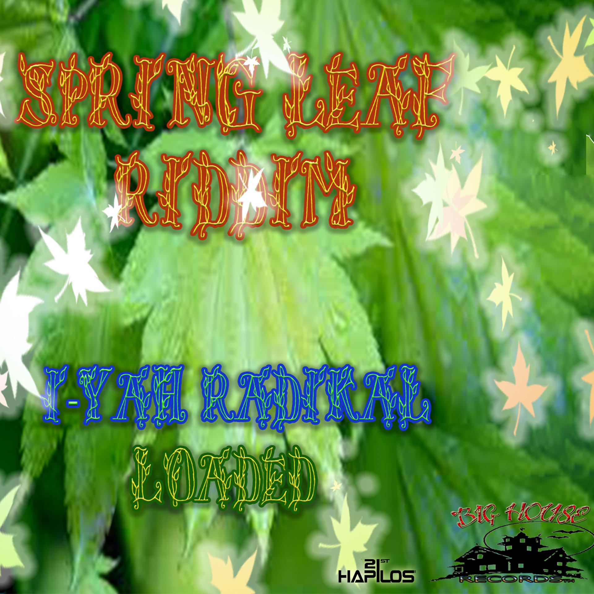 Постер альбома Spring Leaf Riddim