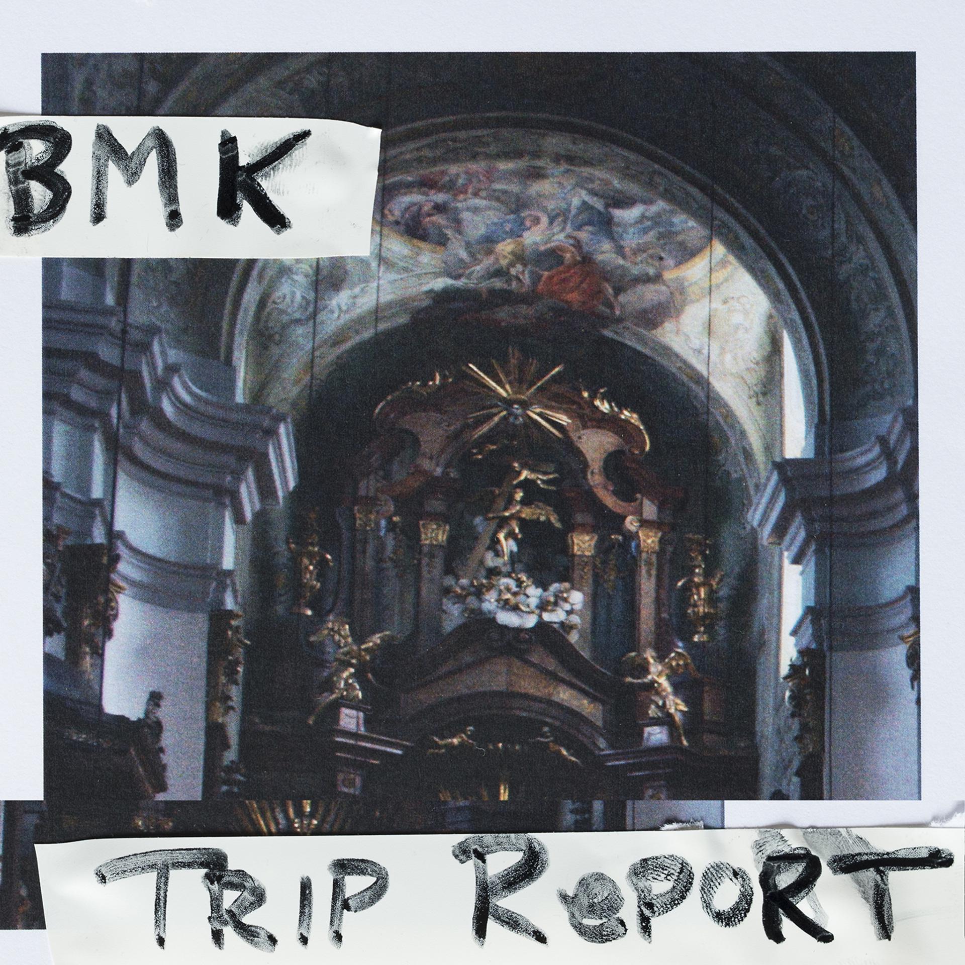 Постер альбома Trip Report
