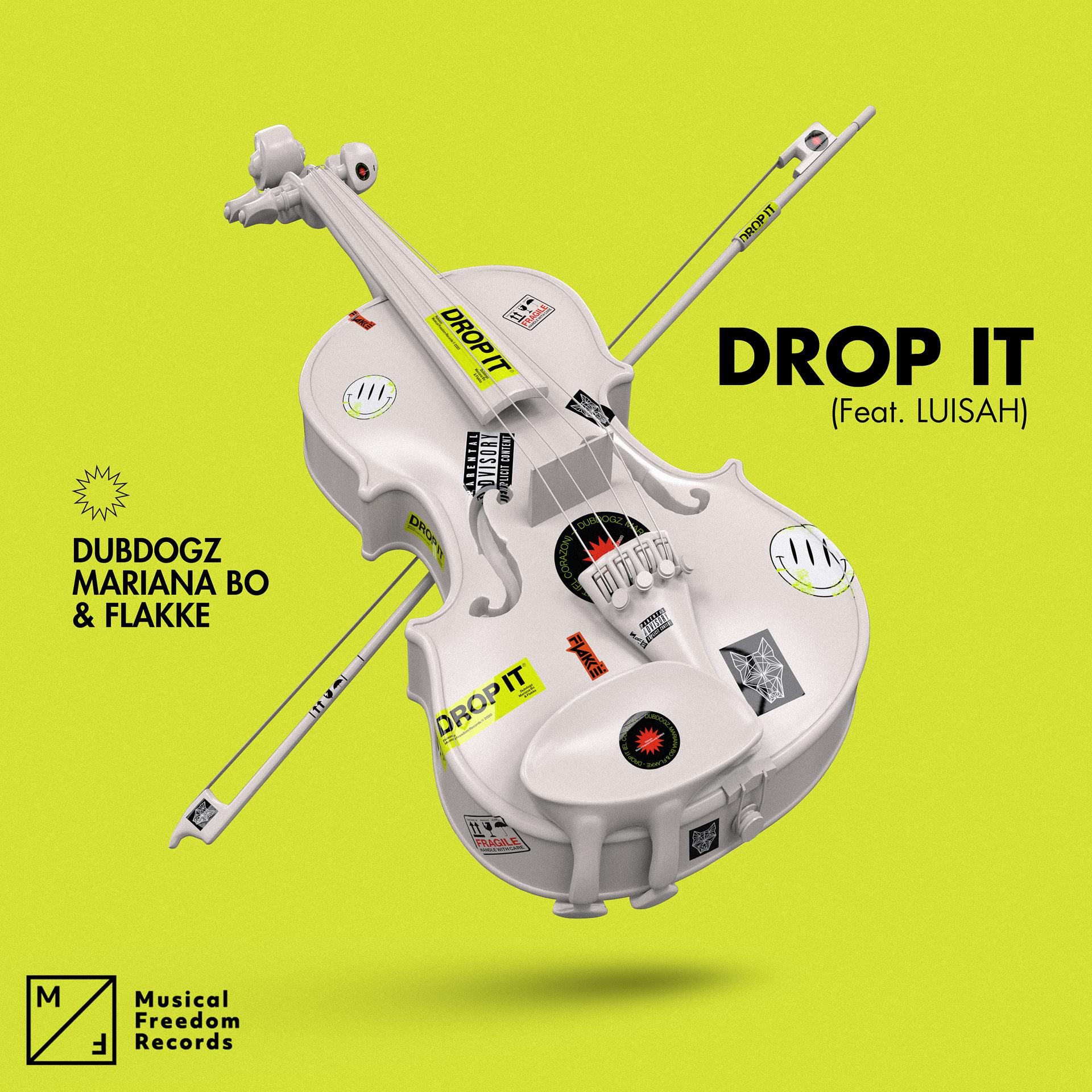 Постер альбома Drop It (feat. LUISAH)