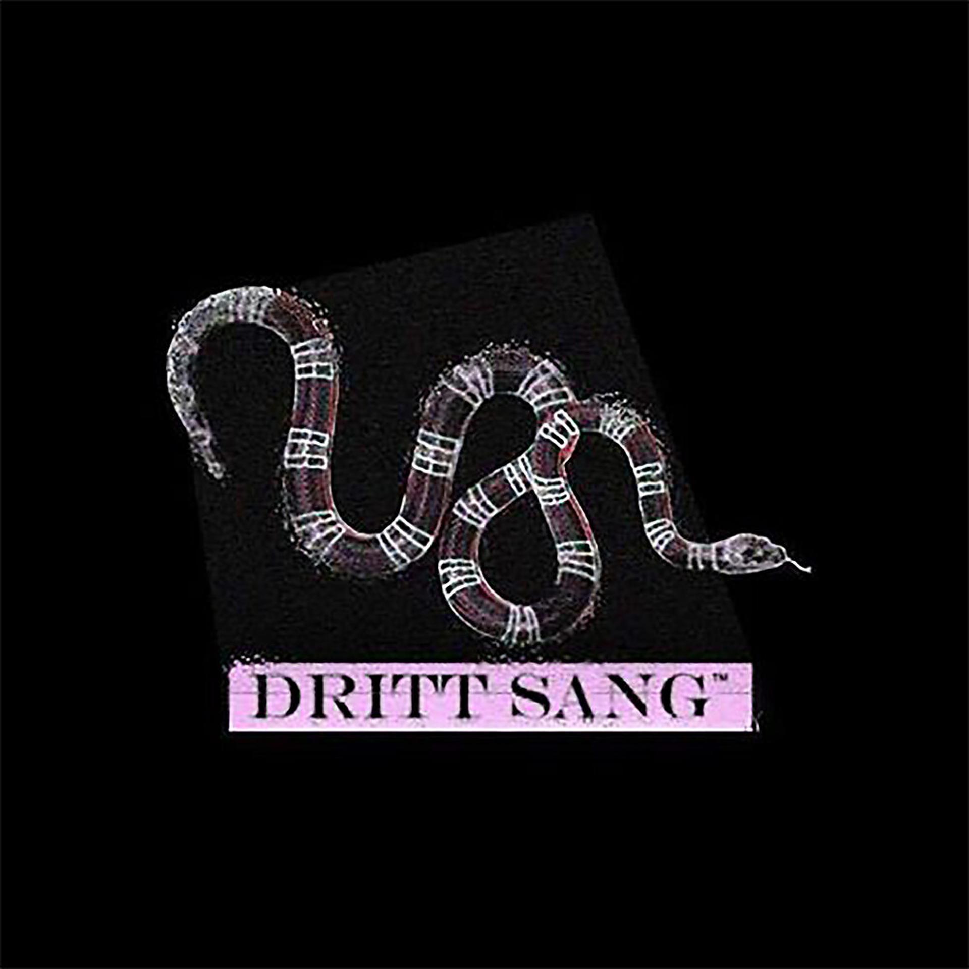 Постер альбома Dritt Sang