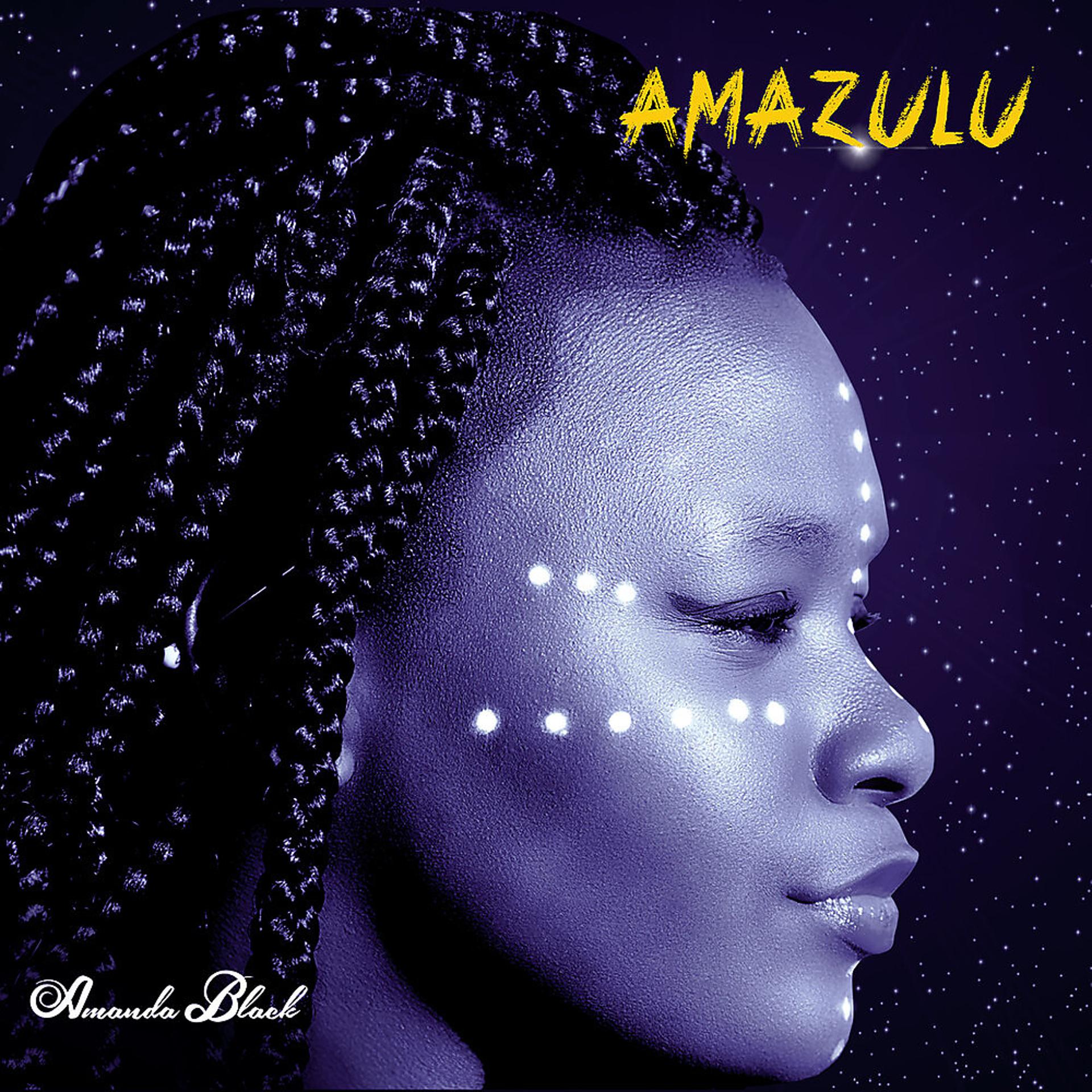 Постер альбома Amazulu