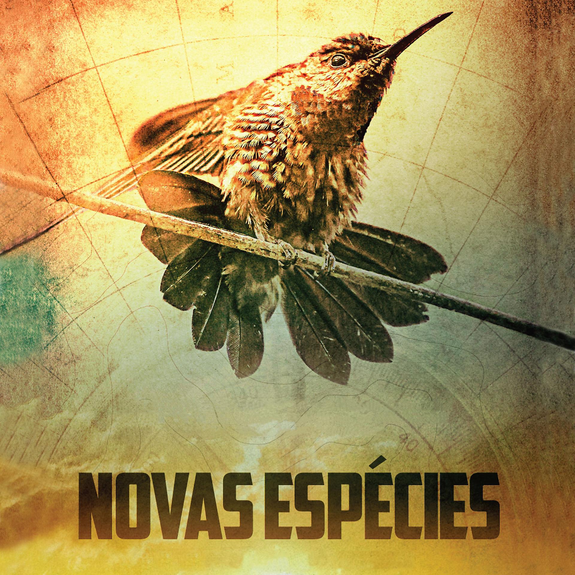 Постер альбома Novas Espécies