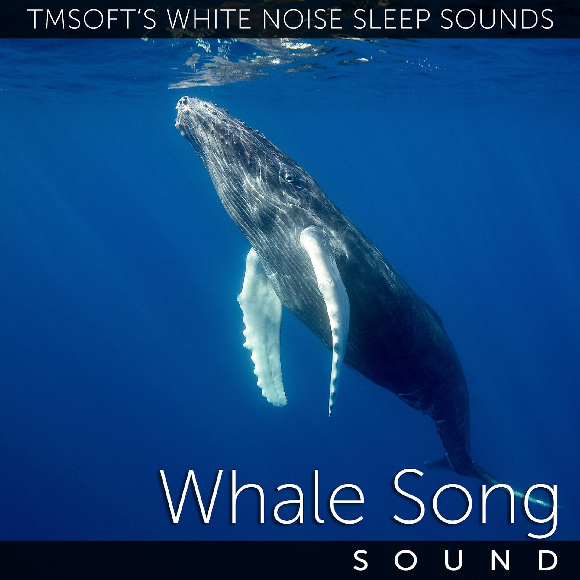 Постер альбома Underwater Whale Song Ambience