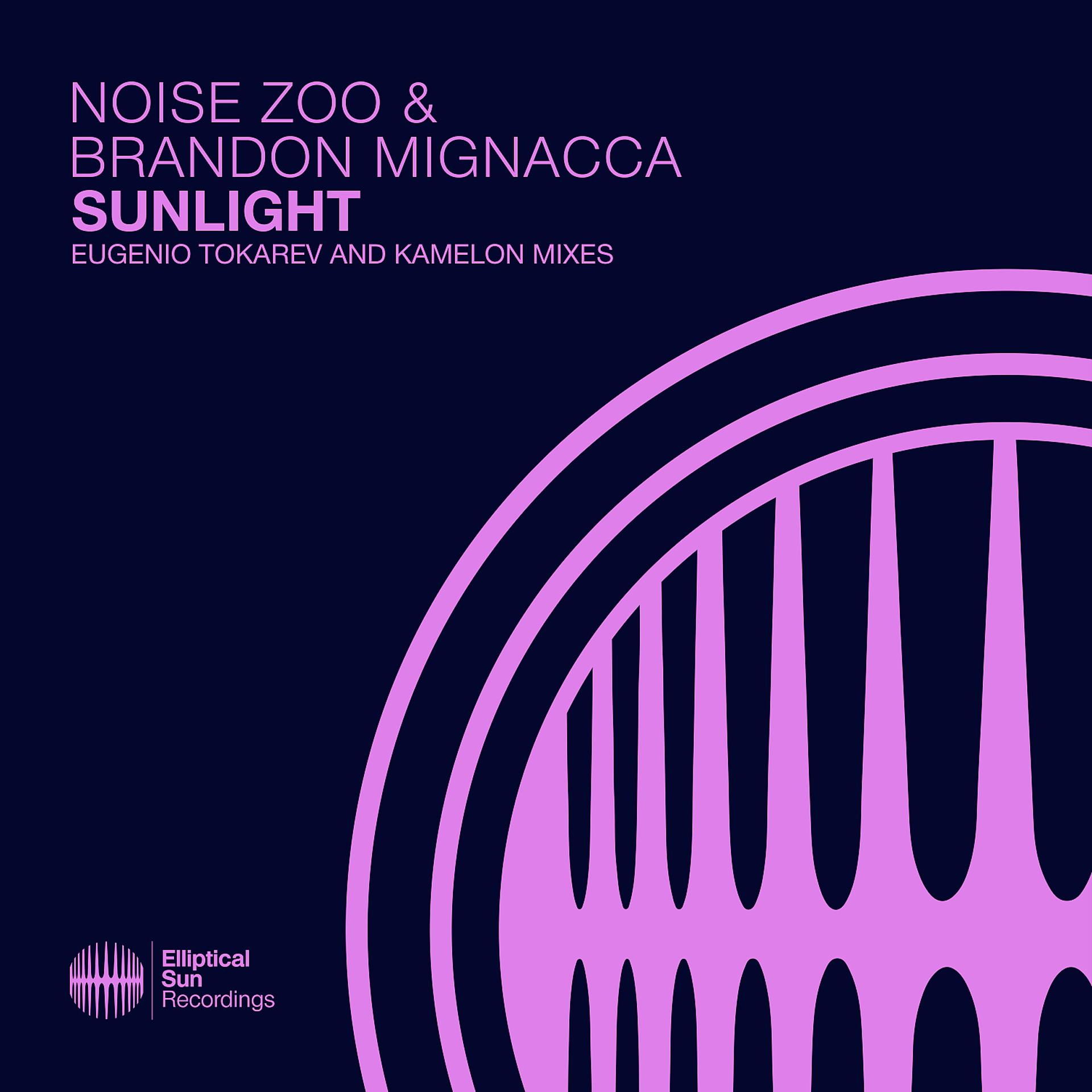Постер альбома Sunlight (The Remixes)