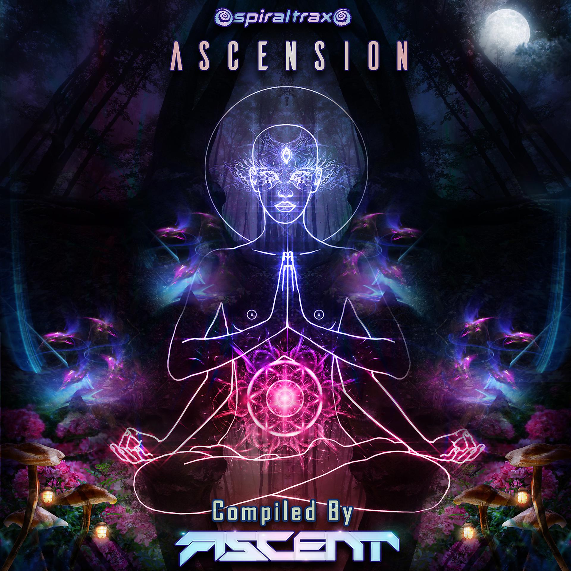 Постер альбома Ascension, Compiled by Ascent