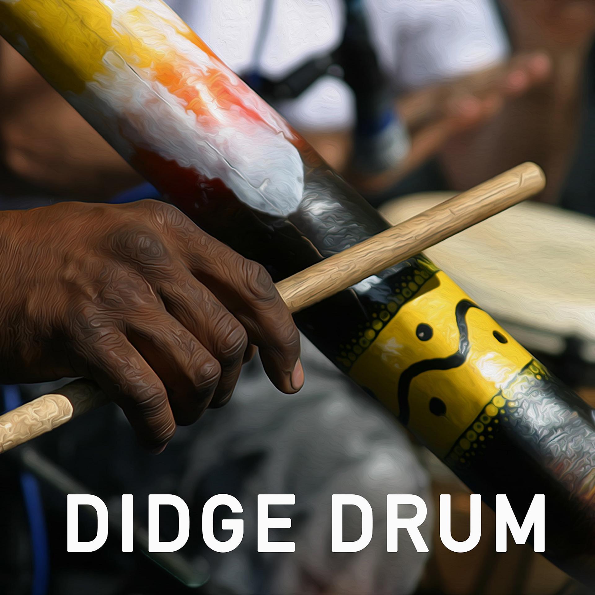 Постер альбома Didge Drum