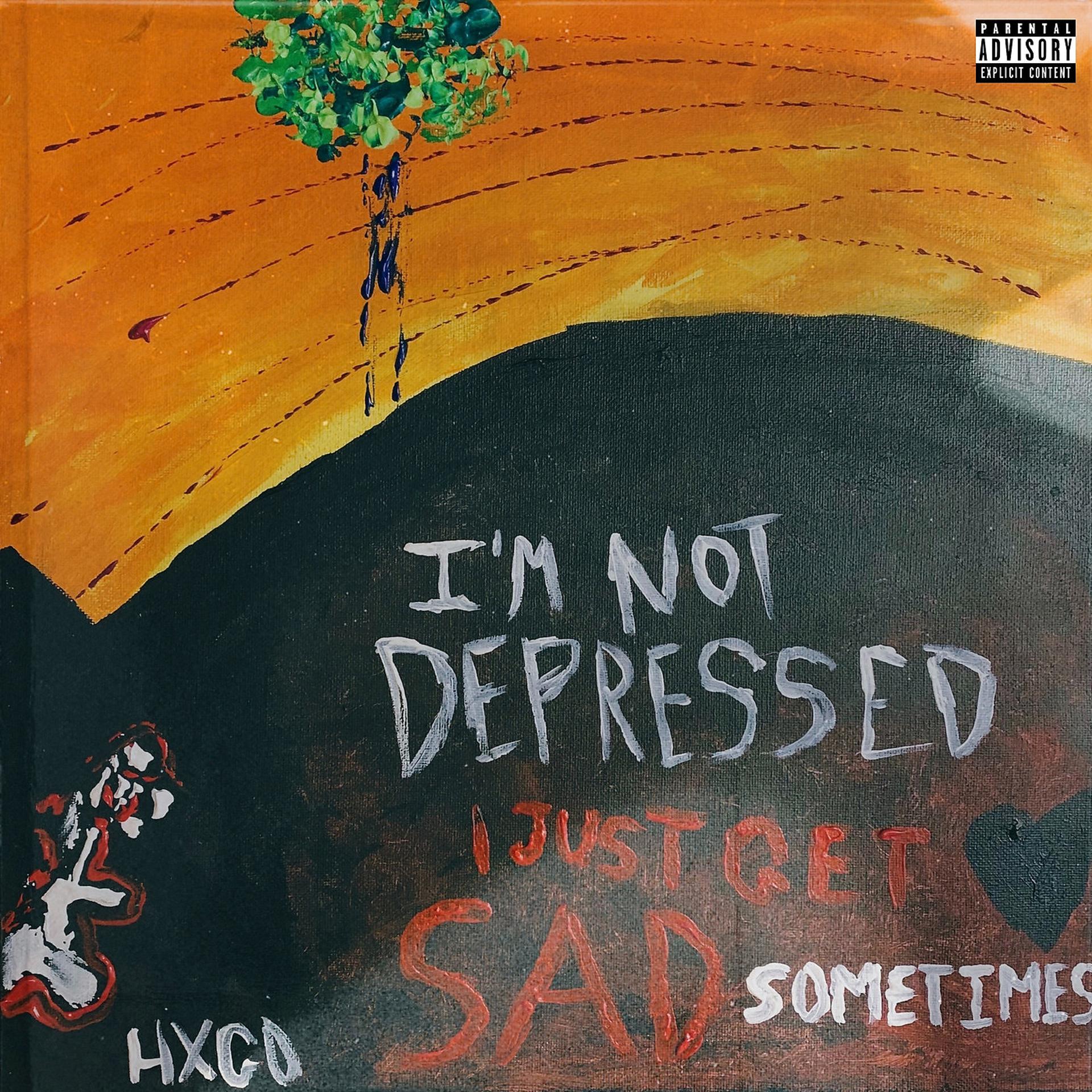 Постер альбома I'm Not Depressed, I Just Get Sad Sometimes
