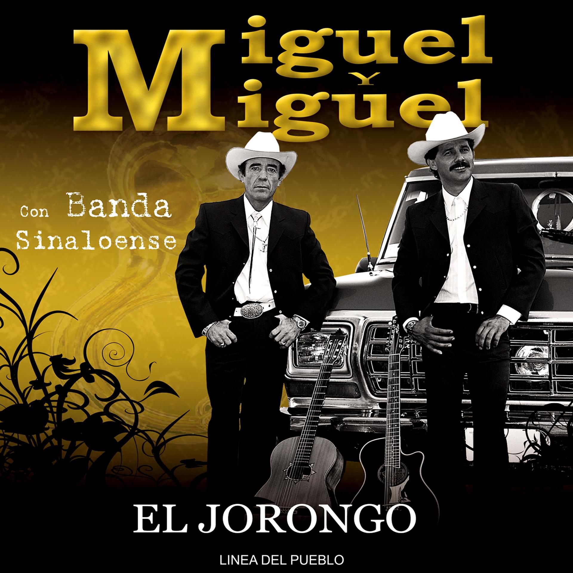 Постер альбома El Jorongo
