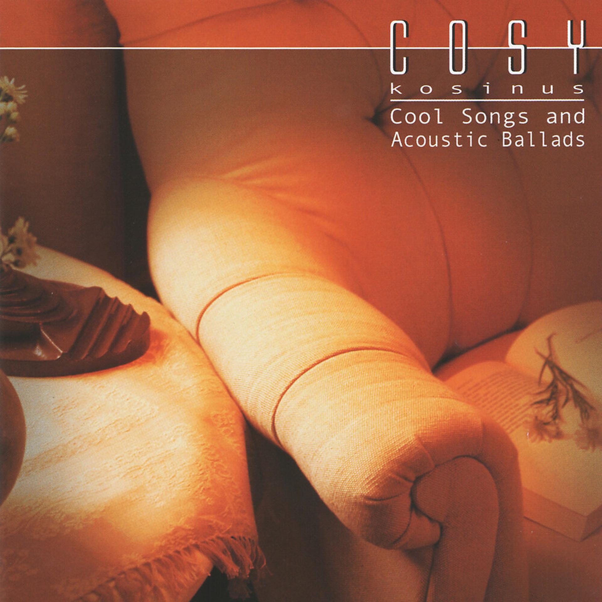 Постер альбома Cosy