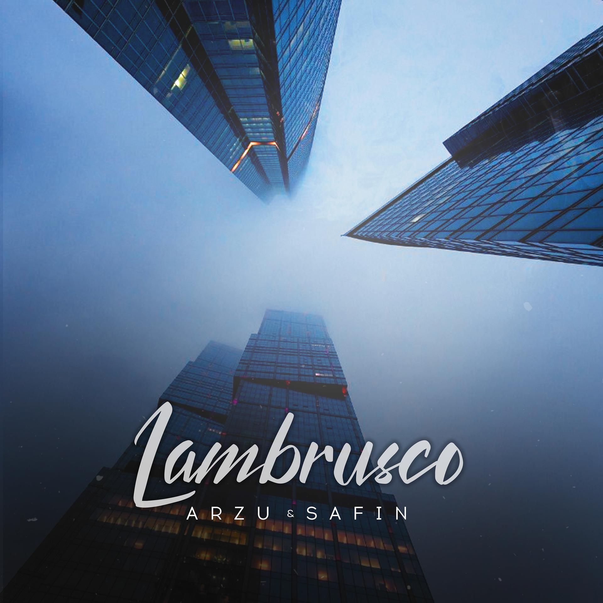Постер альбома Lambrusco