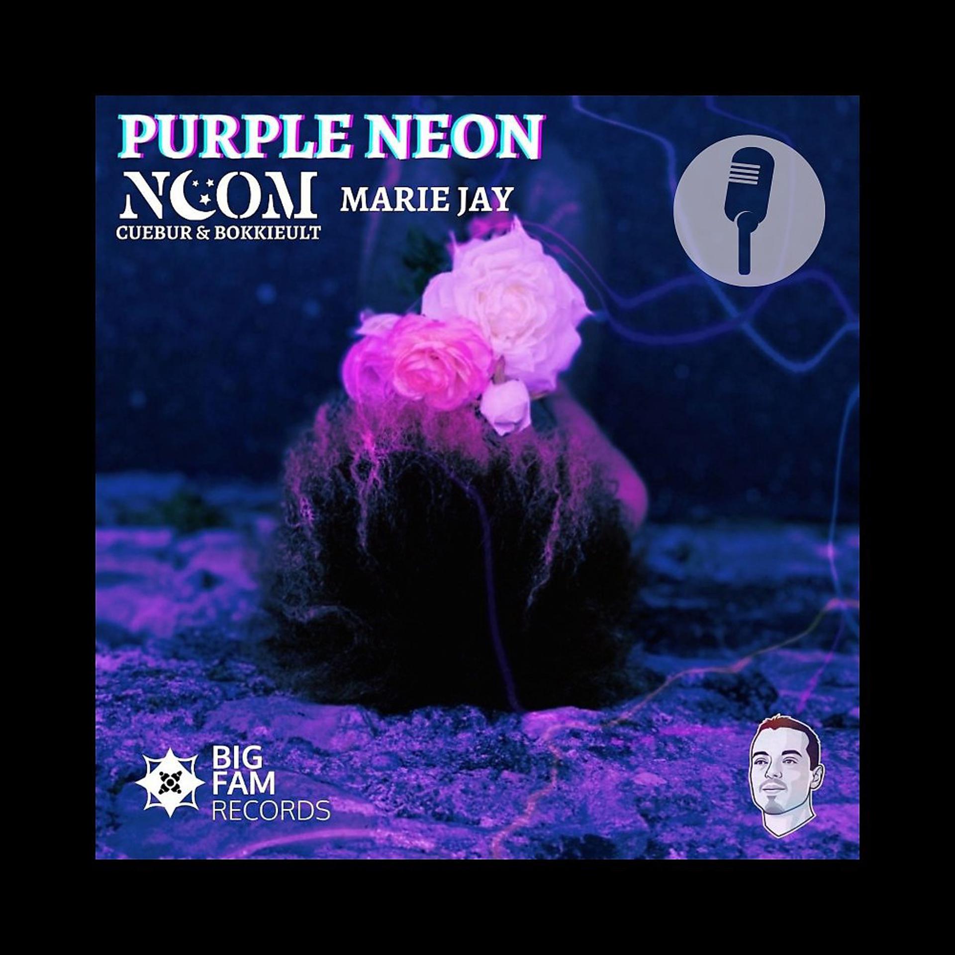 Постер альбома Purple Neon (Radio Edit)
